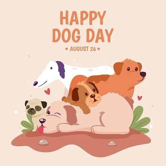 Happy International Dog Day from Winnie’s Pet Care 🐕🐾