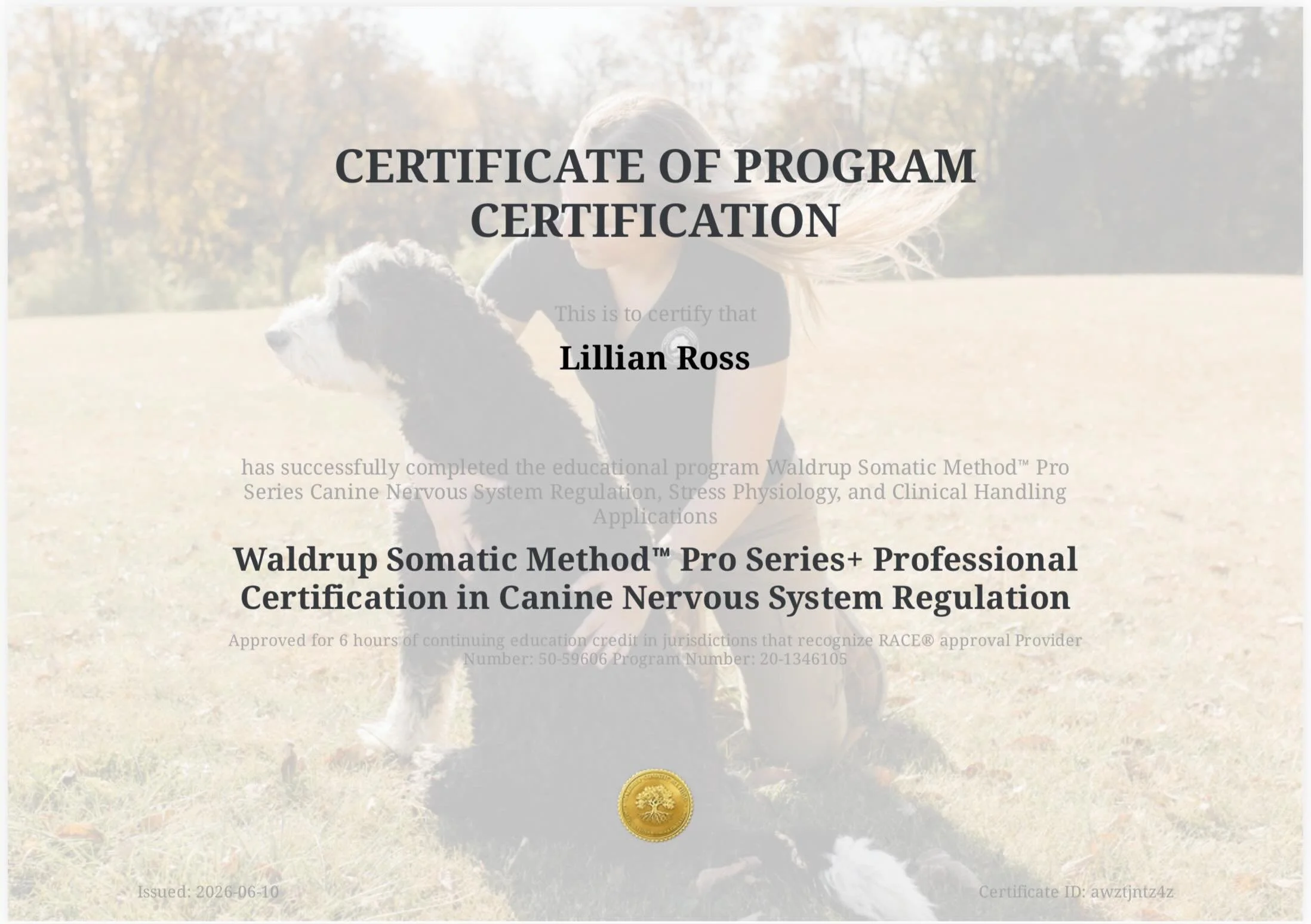 Very grateful I got to complete this course from @waldrupsomaticmethod 🙏

Stay tuned for the next chapter 🐾🐾