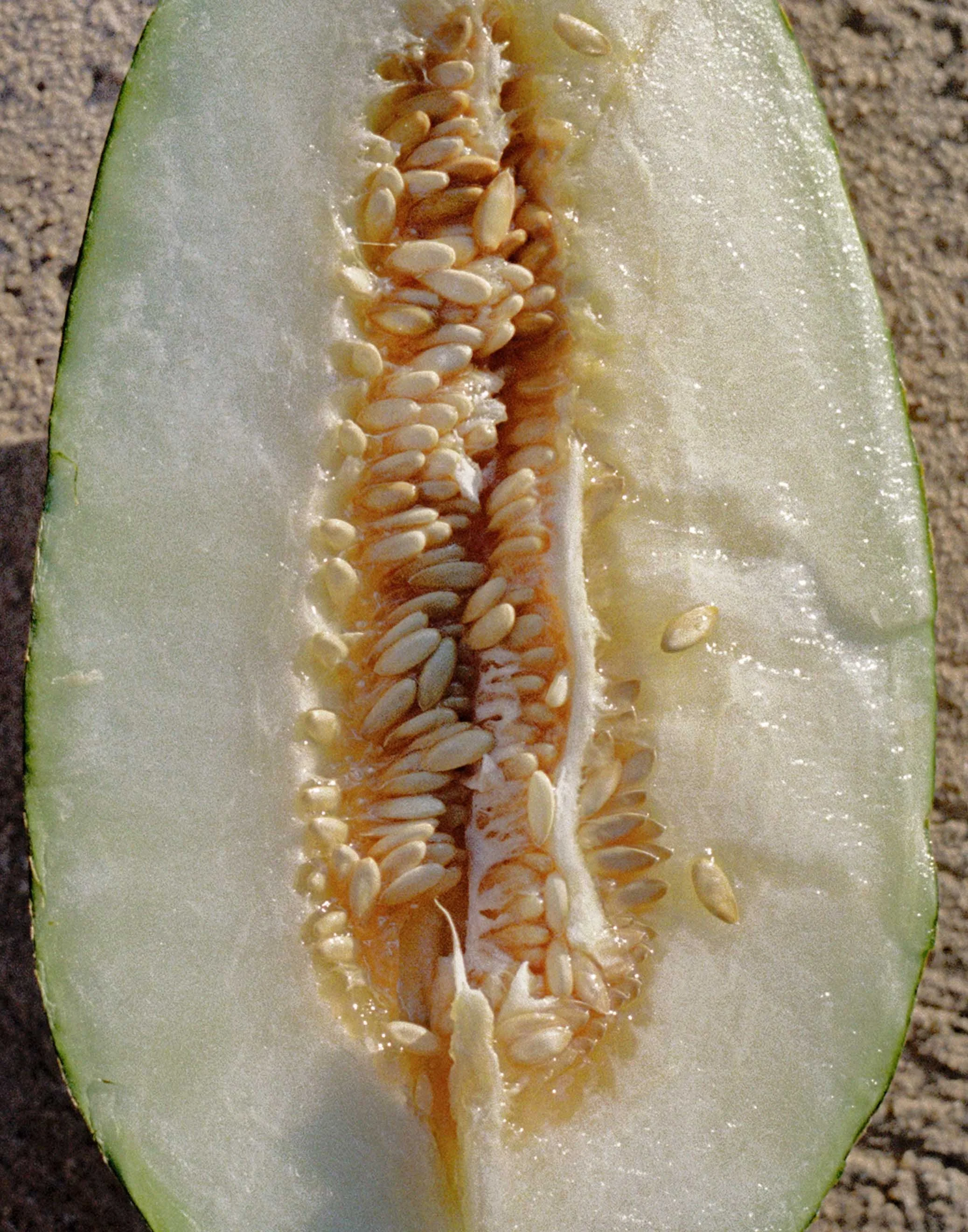 Heart of Summer, Mallorca 2024.