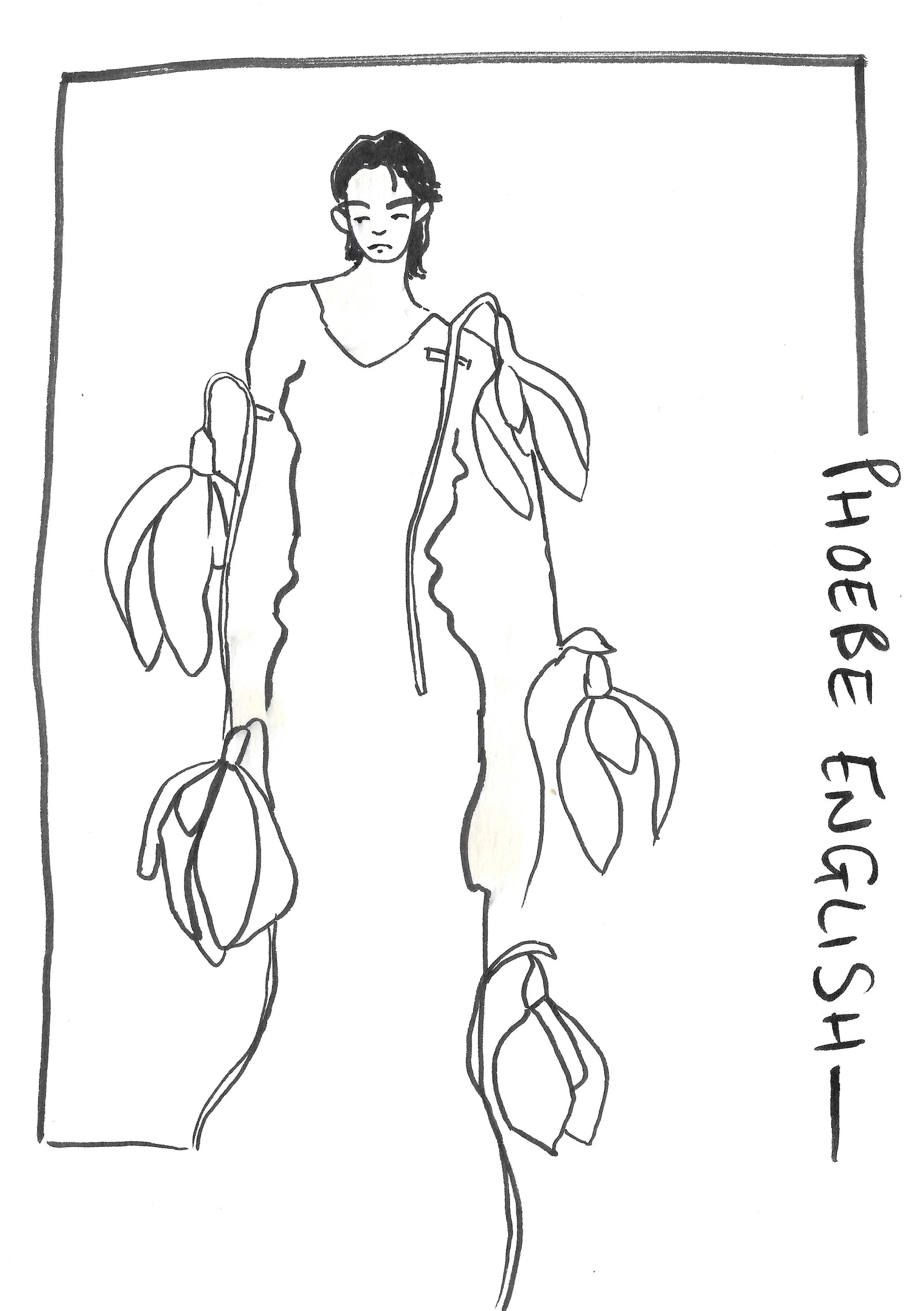 phoebe english 7.jpg