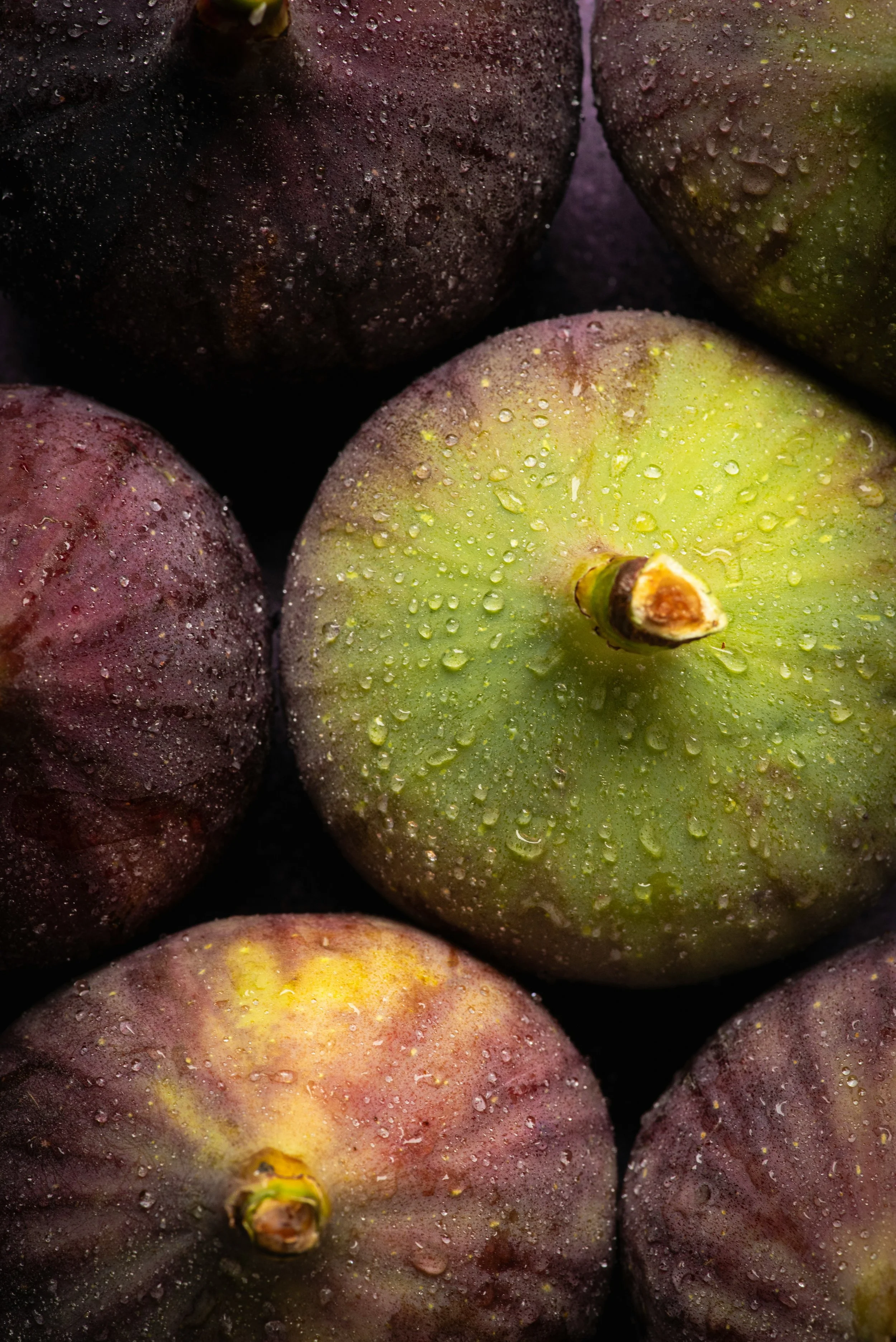 olimpia-davies-hZl3ru-lTXw-unsplash (1).jpg