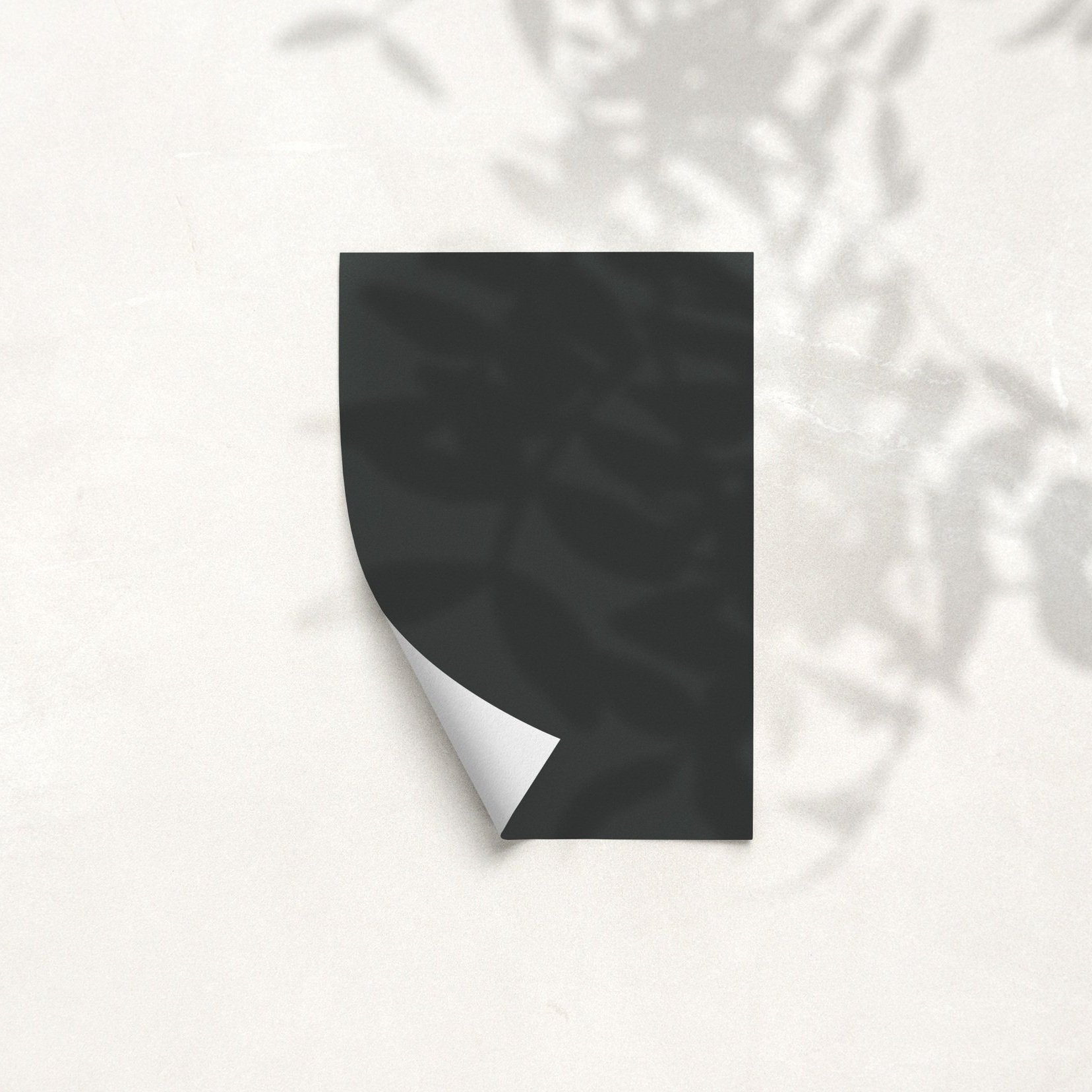 Sample Card for Jurassic Black by The Pickleson Paint Co. A deep, dark green with bold sophistication.