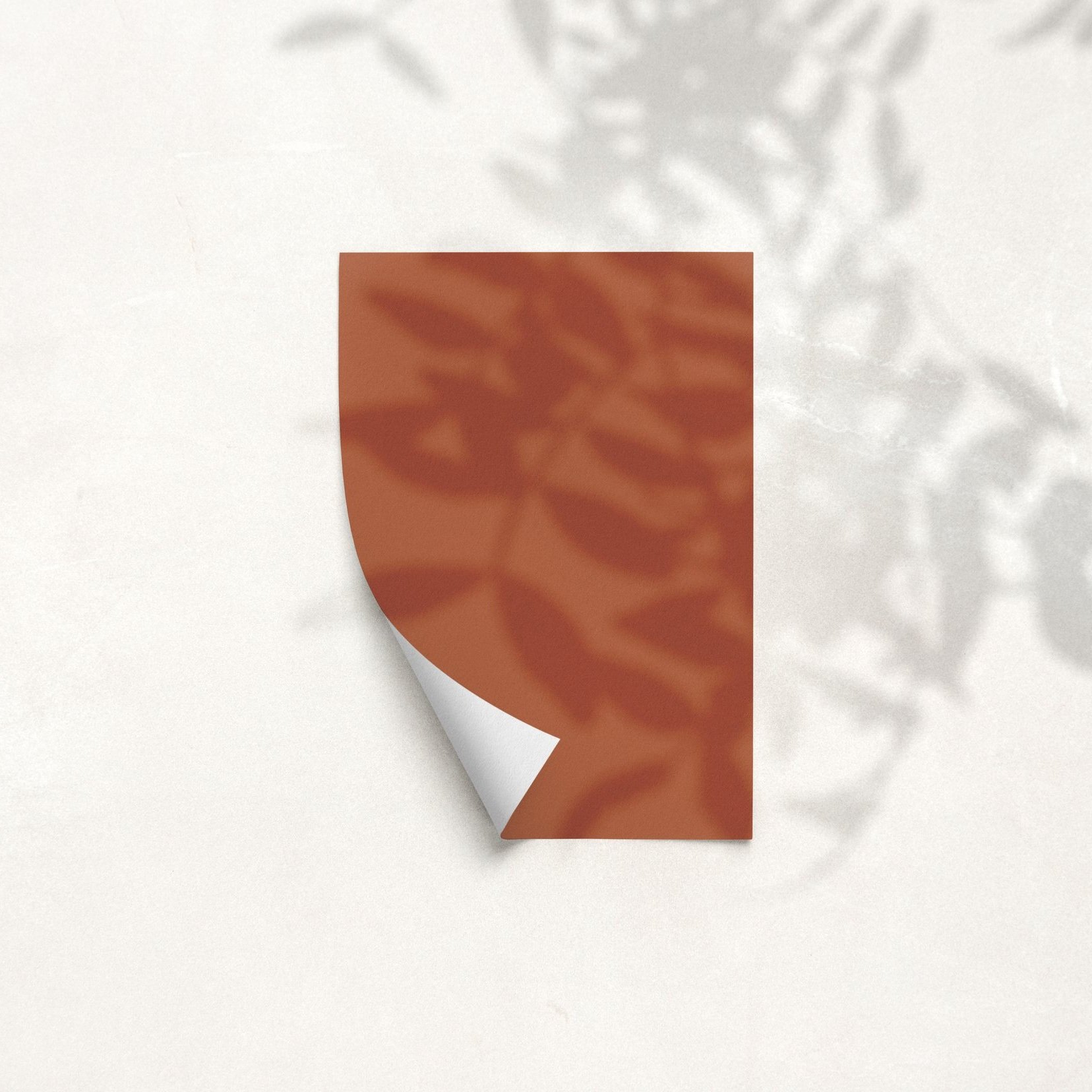 Sample Card for Borrowed Orange by The Pickleson Paint Co. A rustic, earthy burnt orange.