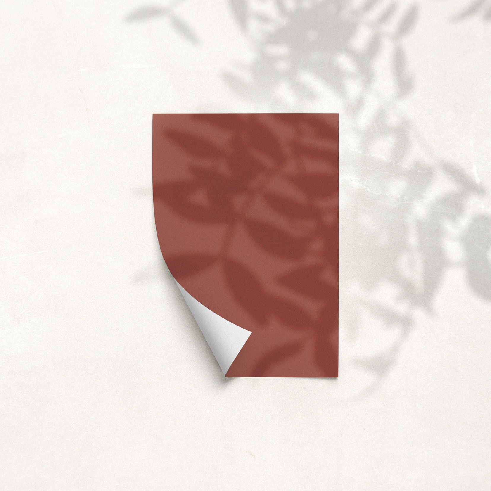 Sample Card for Filthy Terracotta by The Pickleson Paint Co. A bold terracotta for striking spaces.