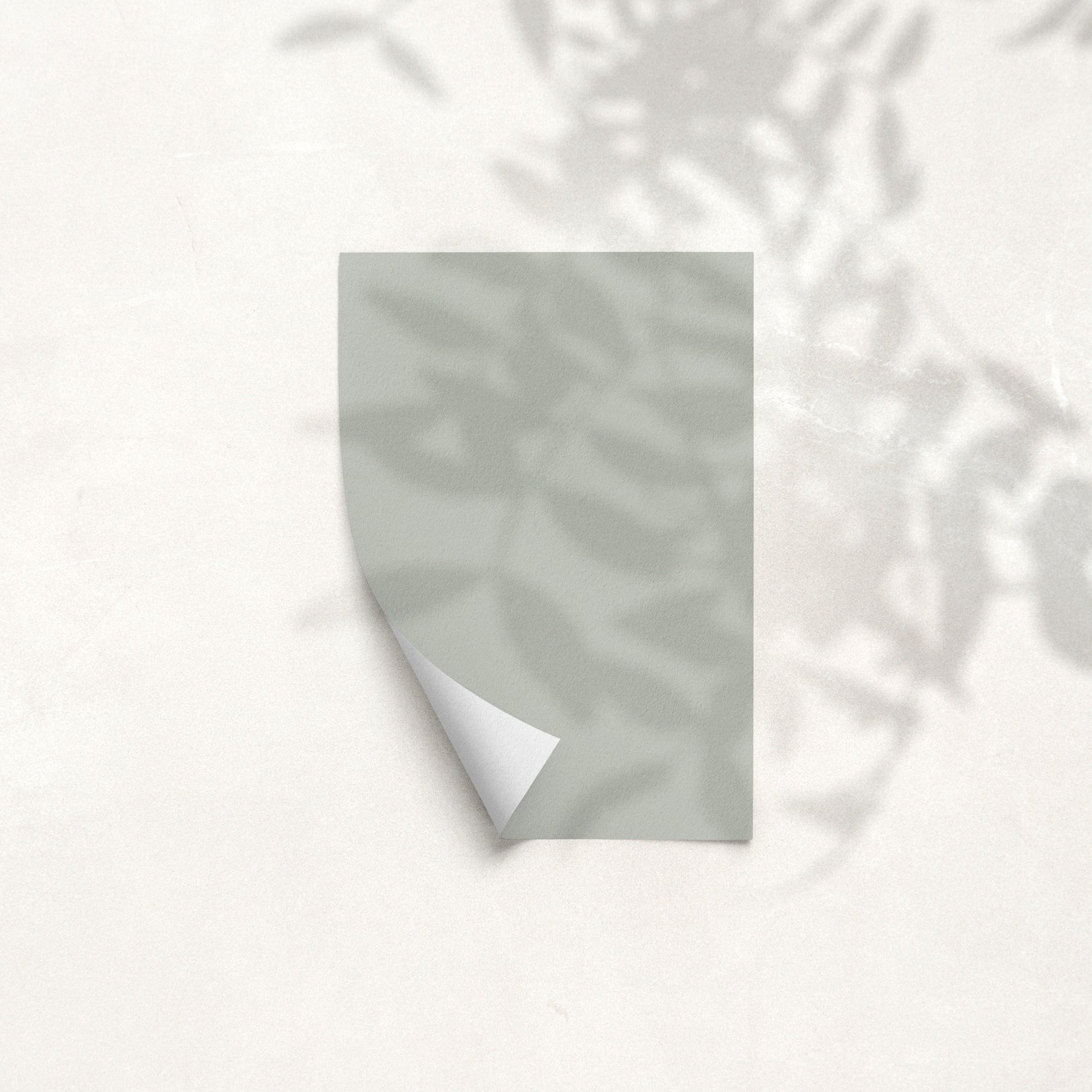 Sample Card for Town Hall Whisper by The Pickleson Paint Co. A muted green-blue with elegant undertones.