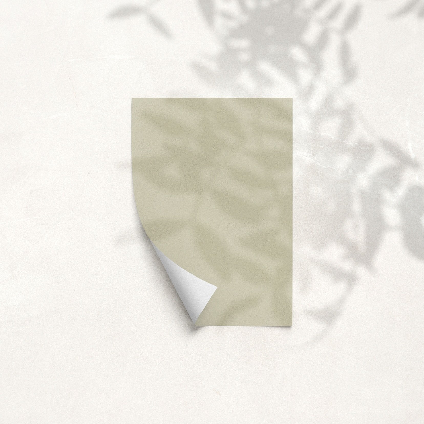 Sample Card for Aegean Sage by The Pickleson Paint Co. A soft, muted green inspired by the Aegean.