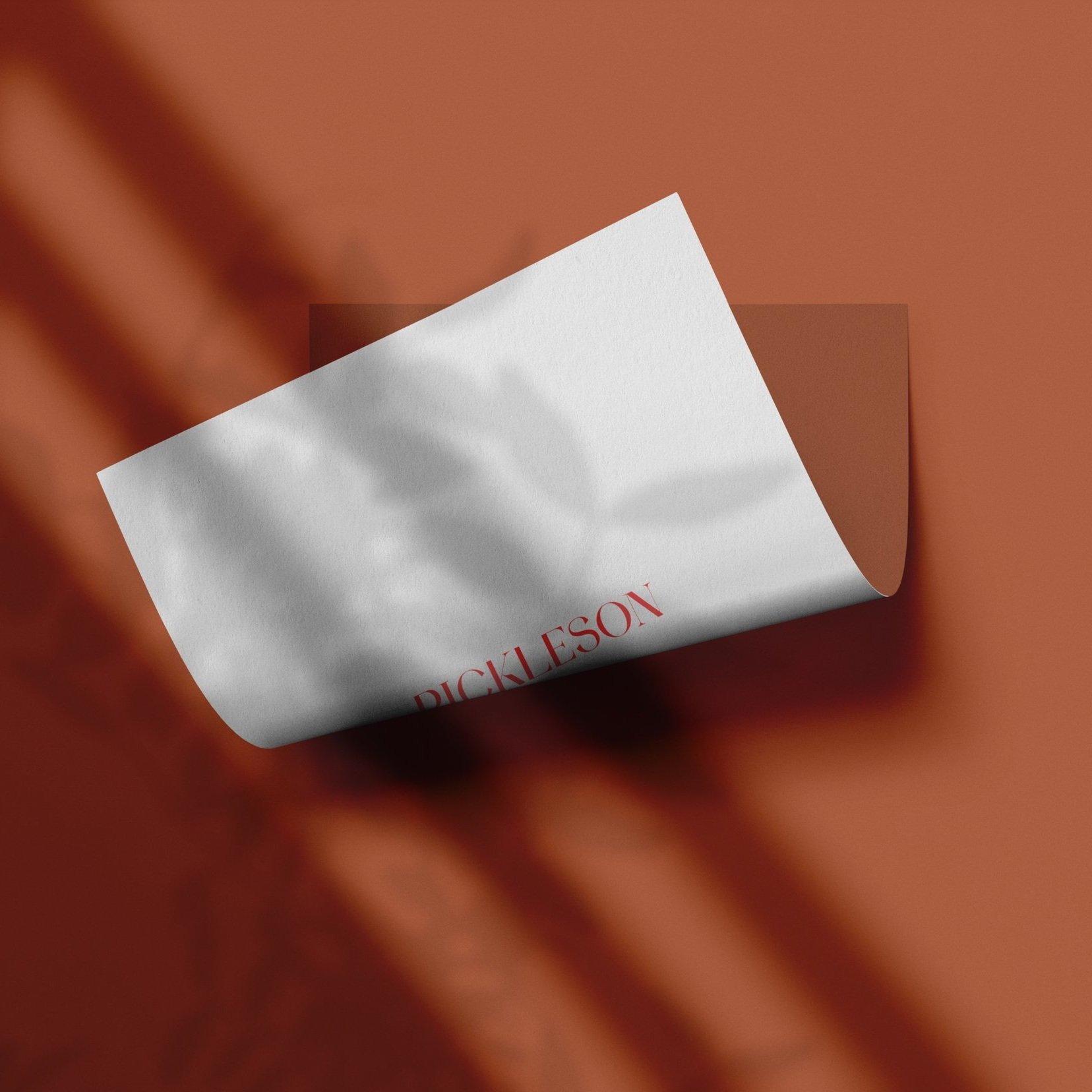 Sample Card for Borrowed Orange by The Pickleson Paint Co. A rustic, earthy burnt orange.