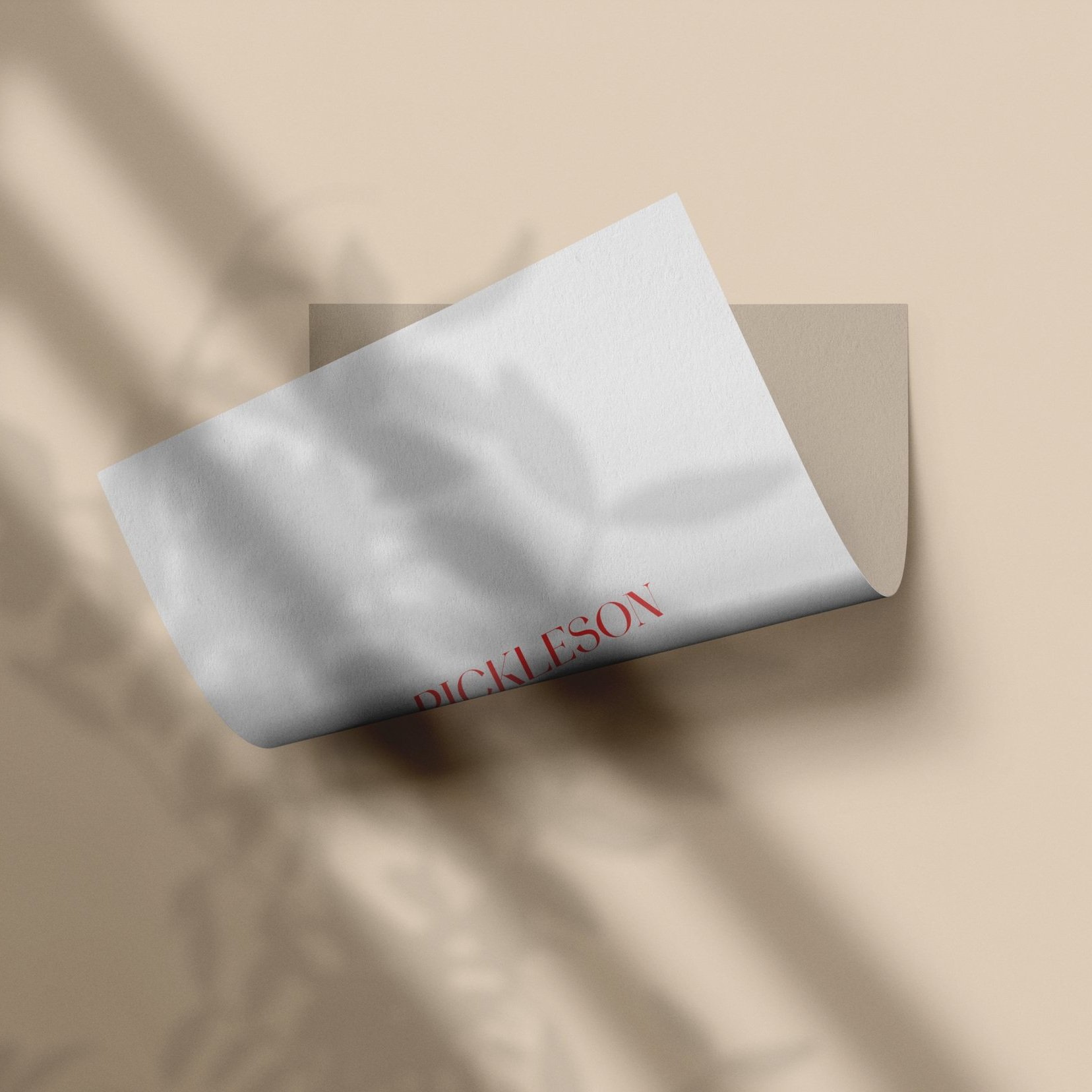 Sample Card for Lyme Stone by The Pickleson Paint Co. A soft, neutral stone shade that is endlessly versatile.