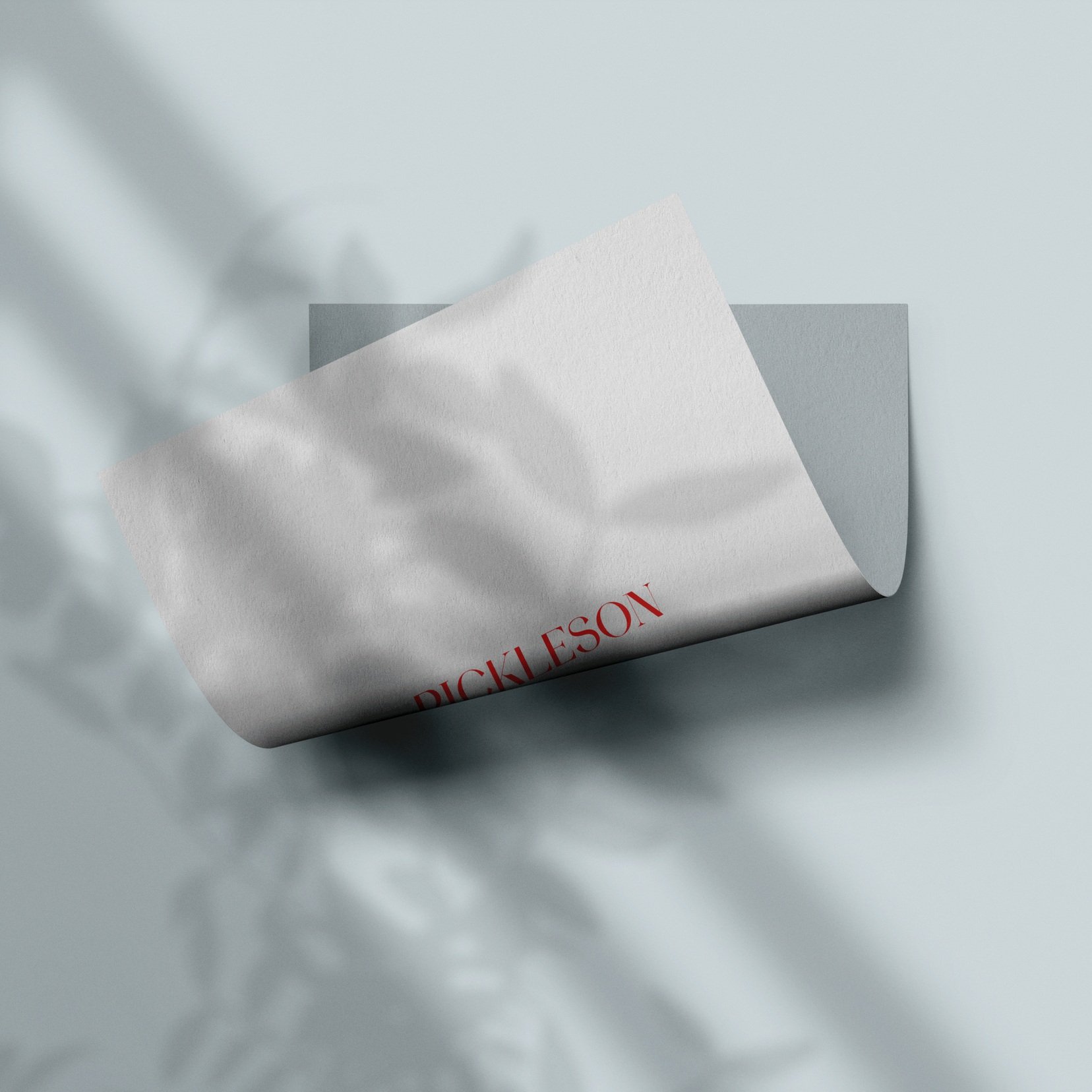 Sample Card for Skye Blue by The Pickleson Paint Co. A pale, soft blue with calming elegance.