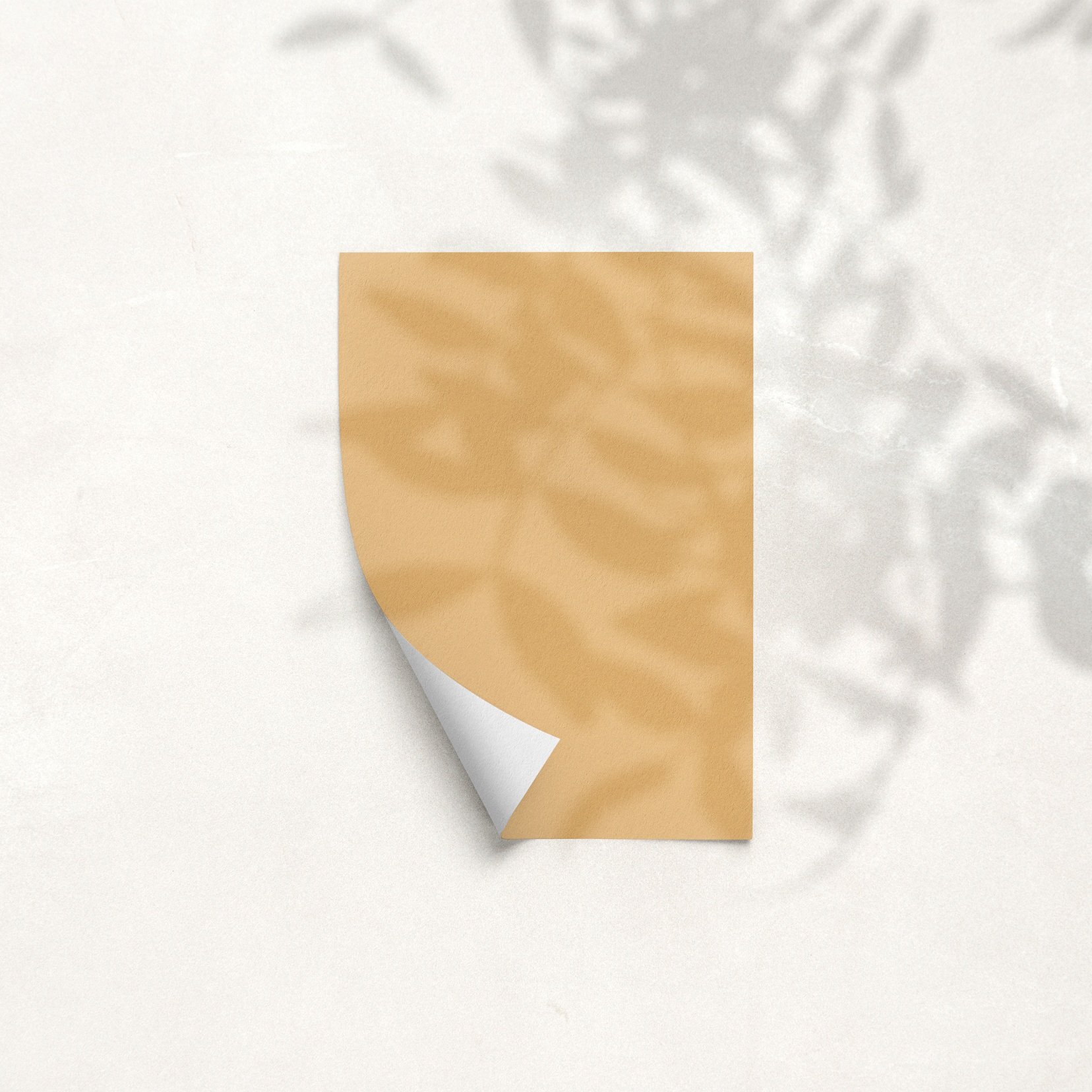 Sample Card for Posh Apricot by The Pickleson Paint Co. A warm apricot yellow that transforms when touched by sunlight.