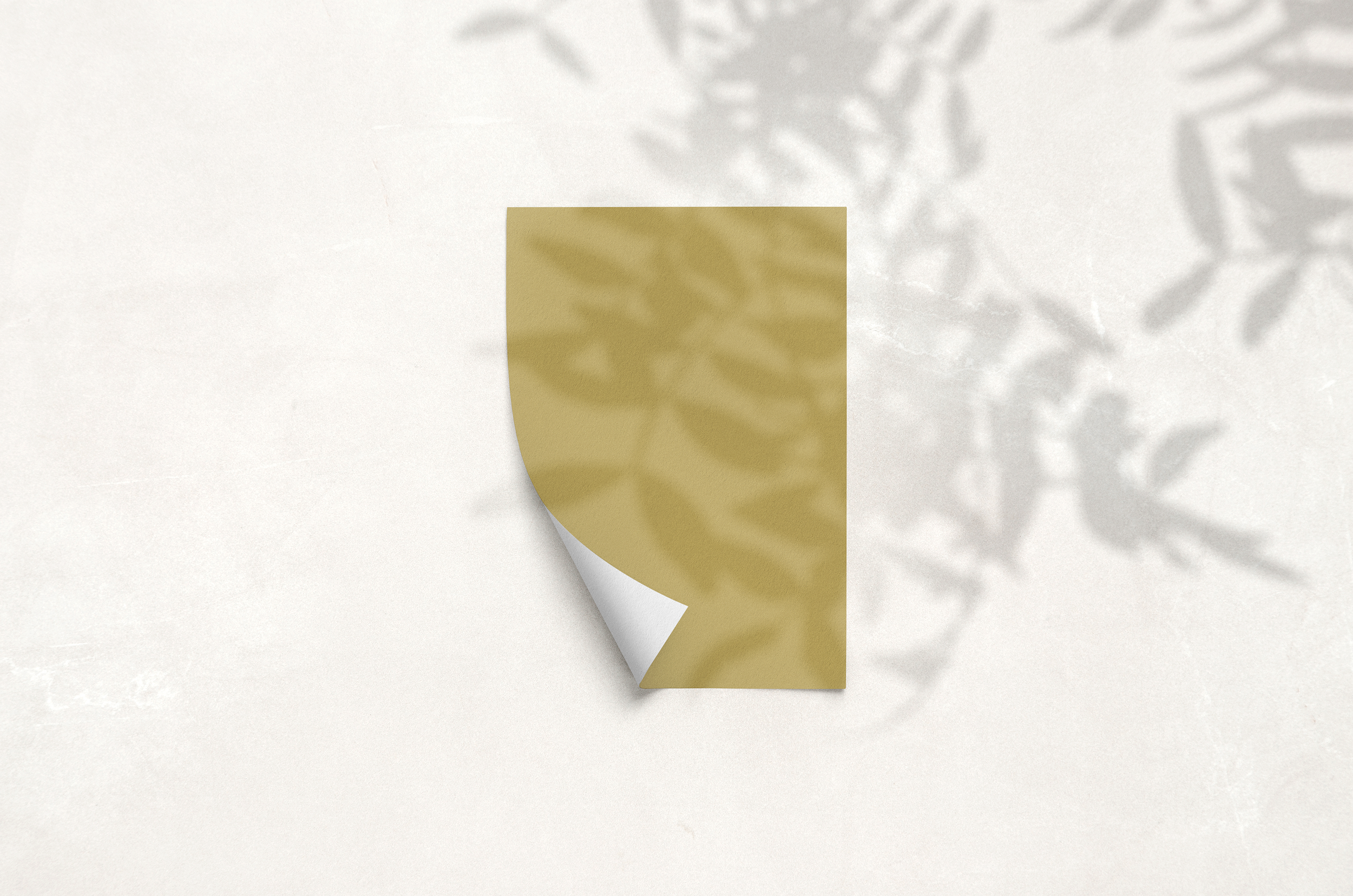 PaperSample_67-PickledGreen_03.png