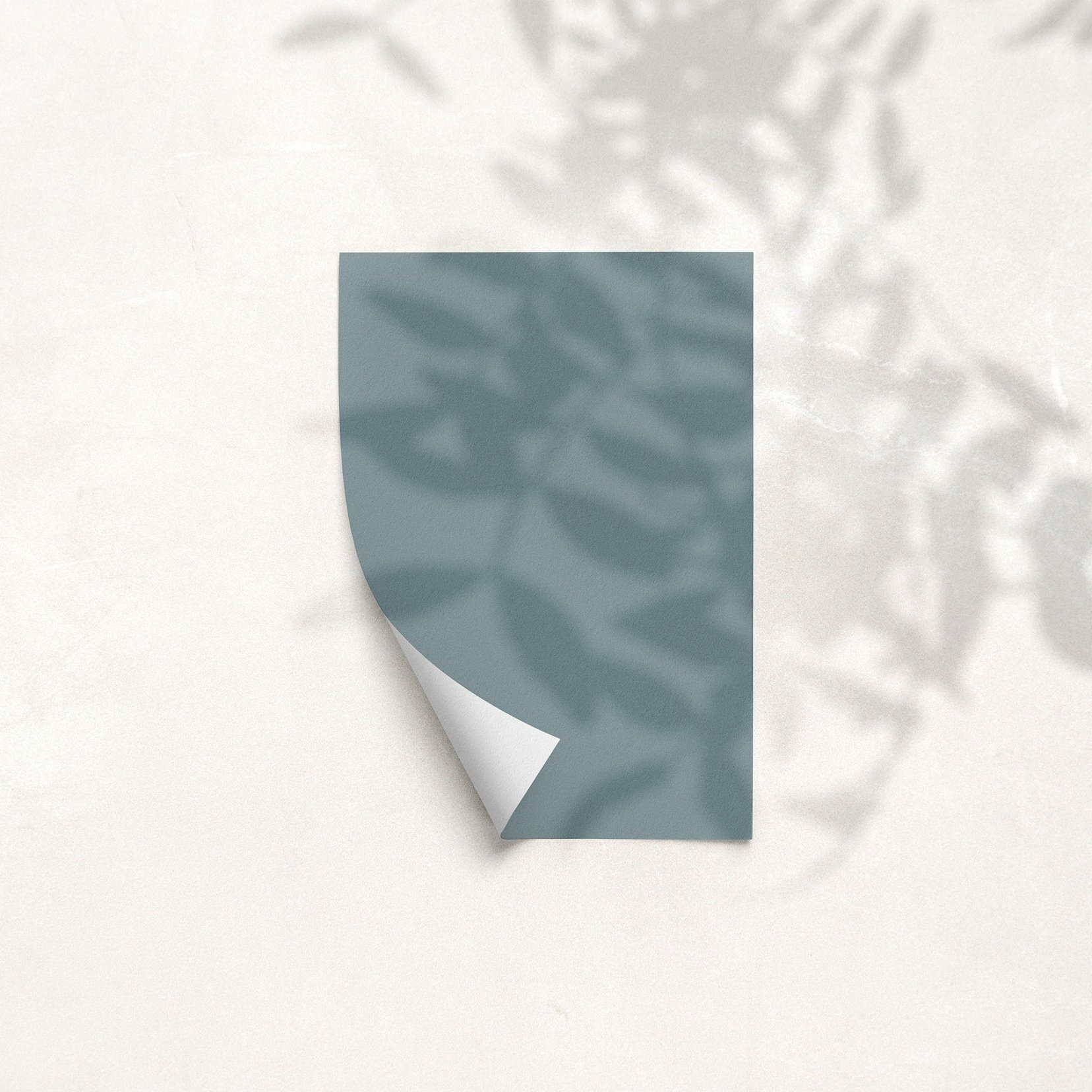 Sample Card for Renaissance Blue by The Pickleson Paint Co. A cool, muted blue with timeless appeal.