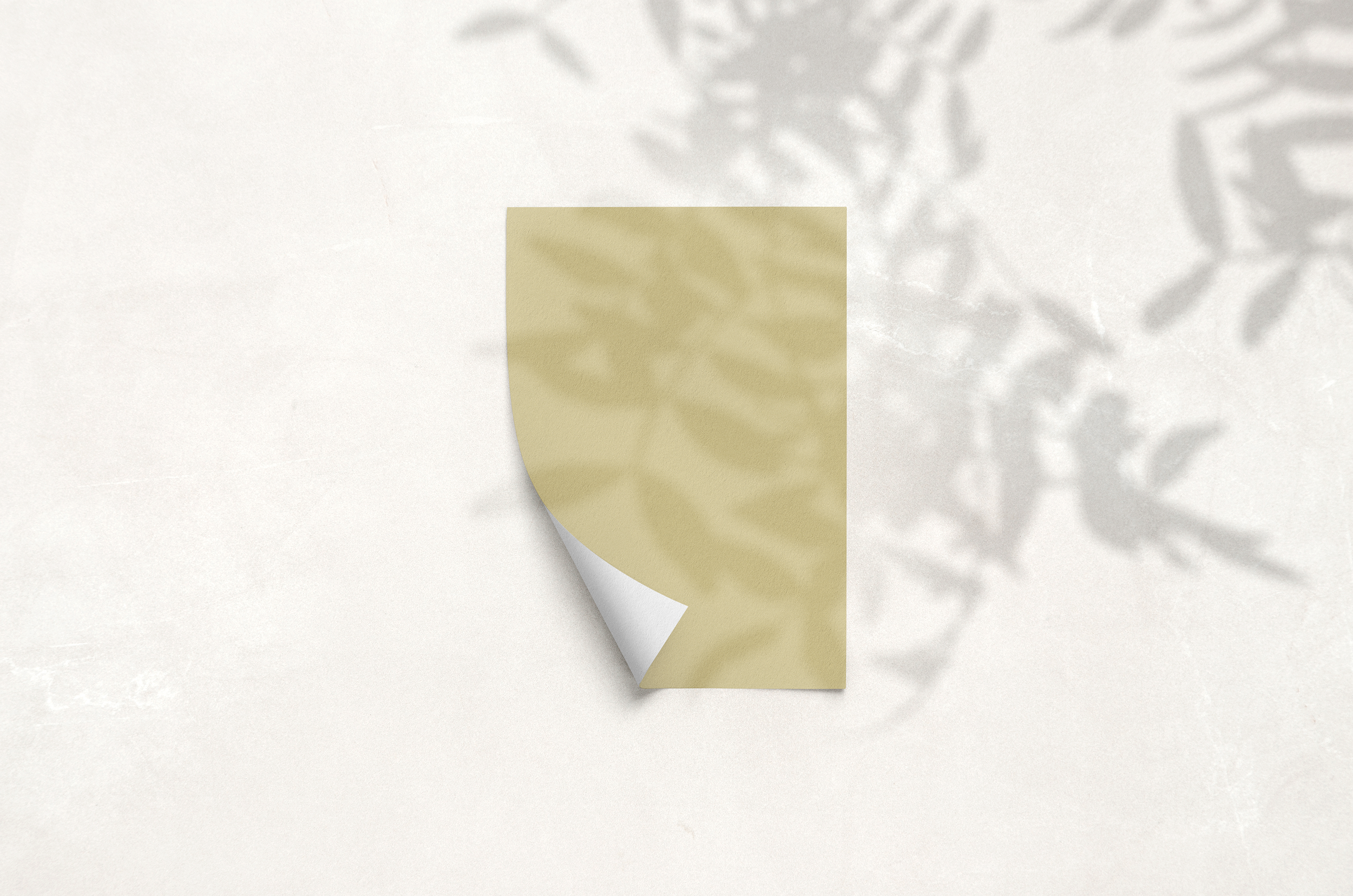 PaperSample_66-SquiffyGreen_03.png