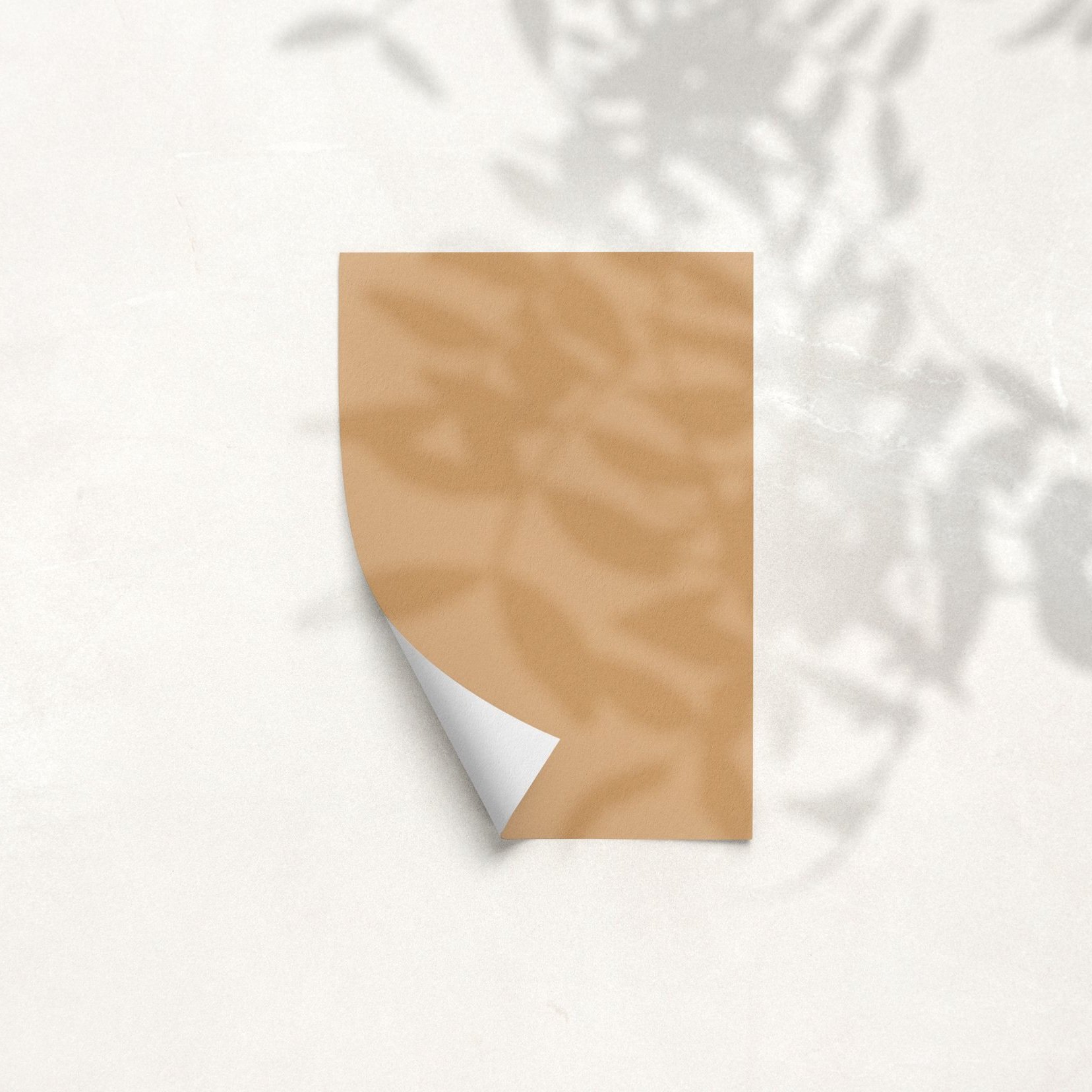 Sample Card for Cheeky Tan by The Pickleson Paint Co. A golden tan for our good time boy.