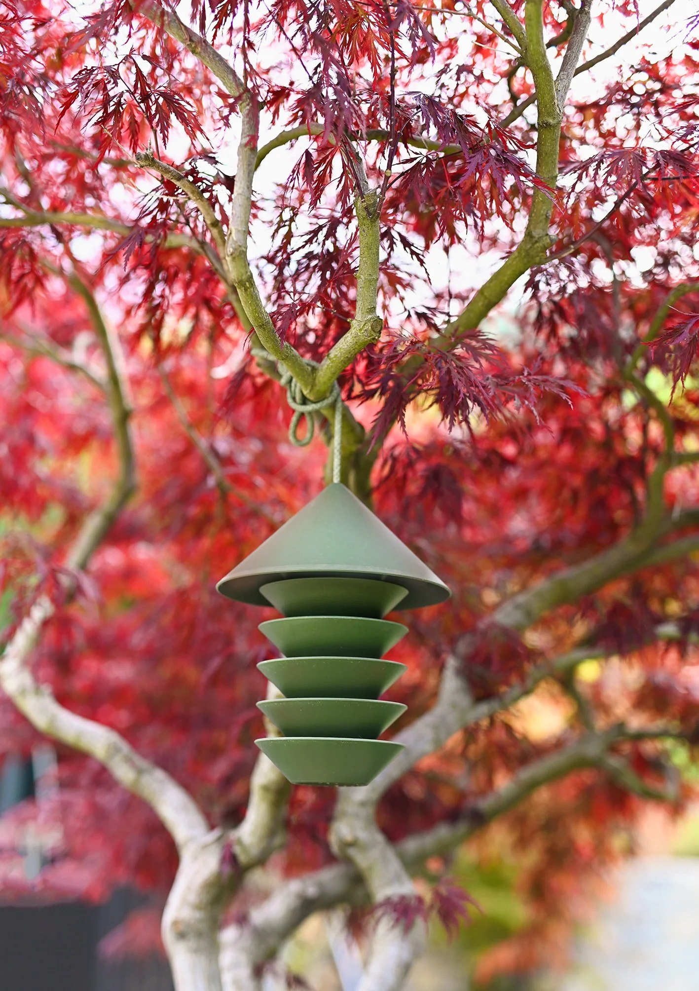 Alexandra Le Blanc2021-79a.jpg