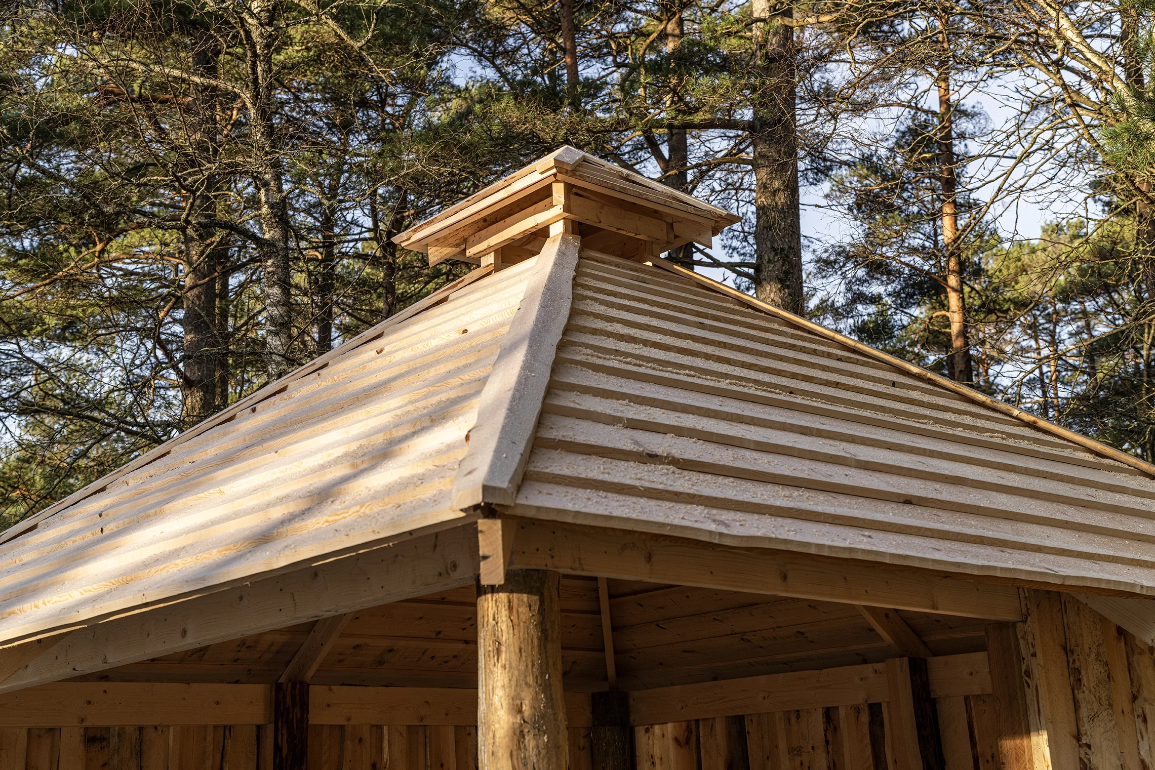 Utsikt av et trehus under oppbygging med treverk og takrenner, omgitt av høye grantrær.
