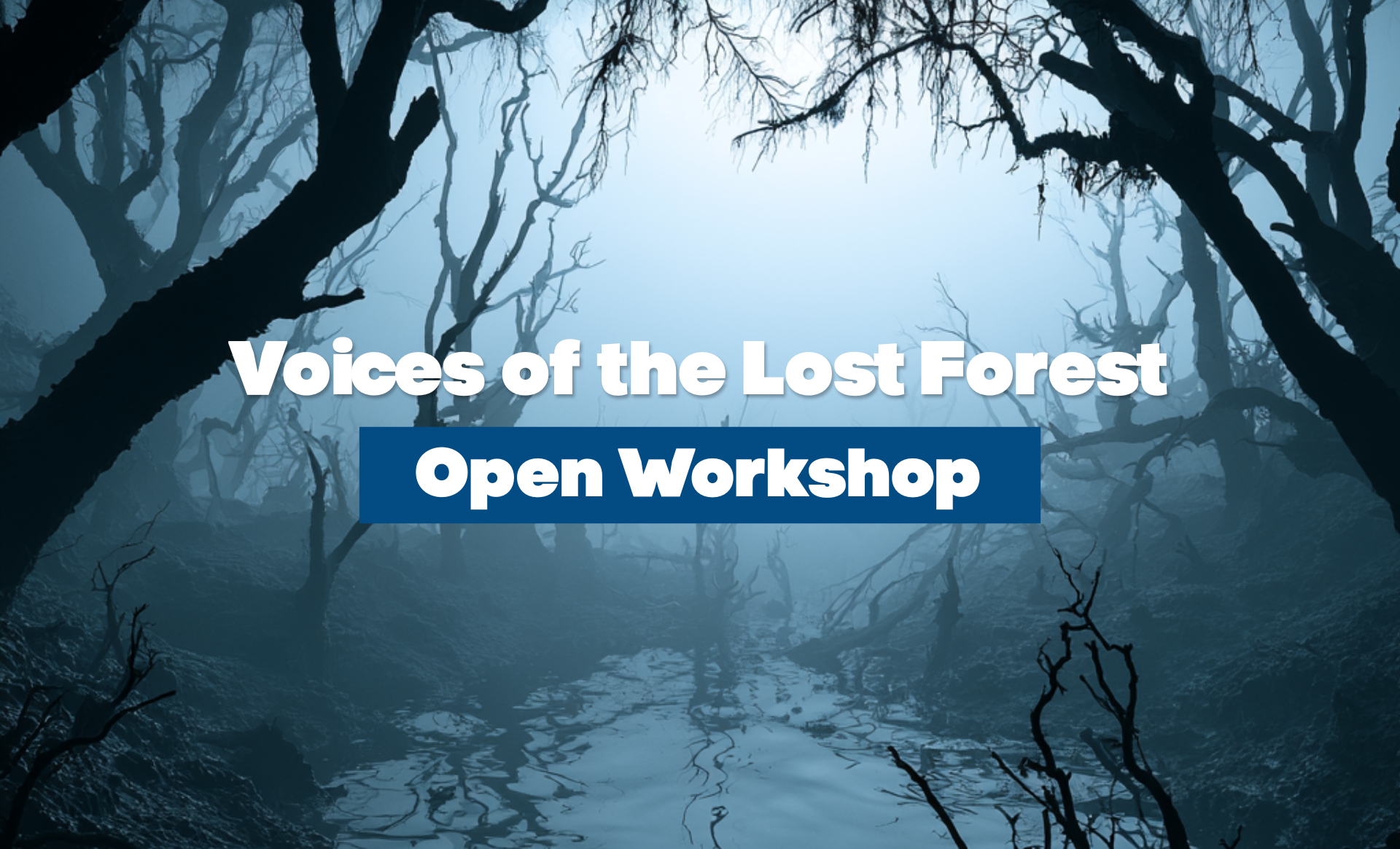 A photo of a forest with the text 'voices of the lost forest - open workshop'