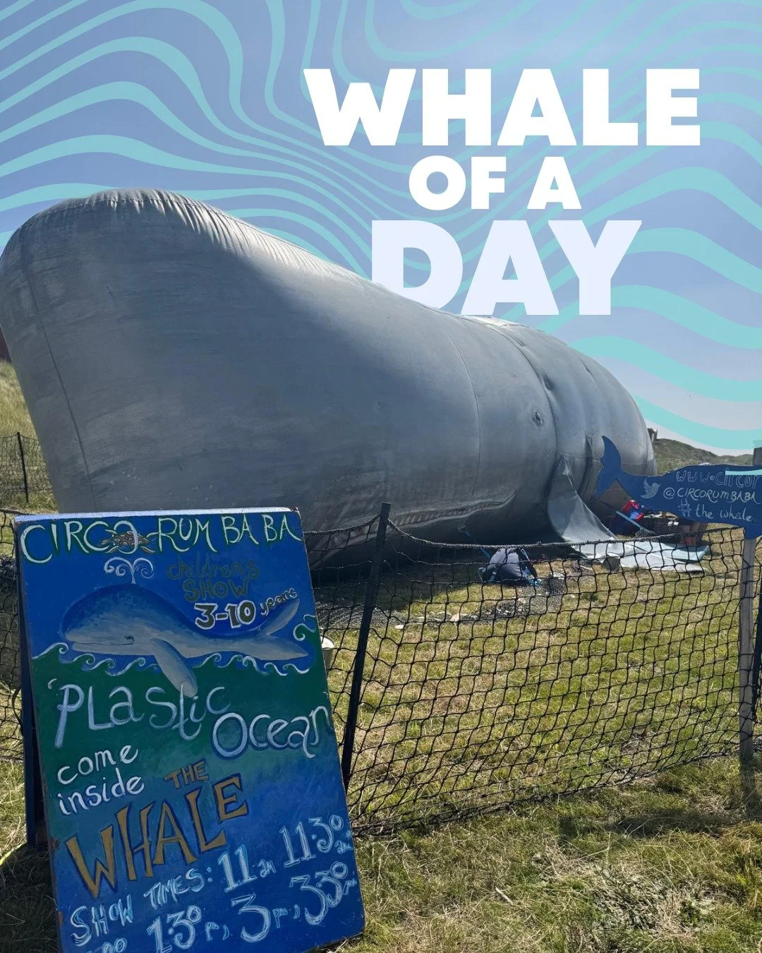 🔁 Story Tellers Rewind: Whale of a Day

In July, @circorumbaba's incredible 50-foot Sperm Whale housed an interactive theatre that brought stories of sea creatures to life. A celebration of marine life and environmental preservation, the day provide