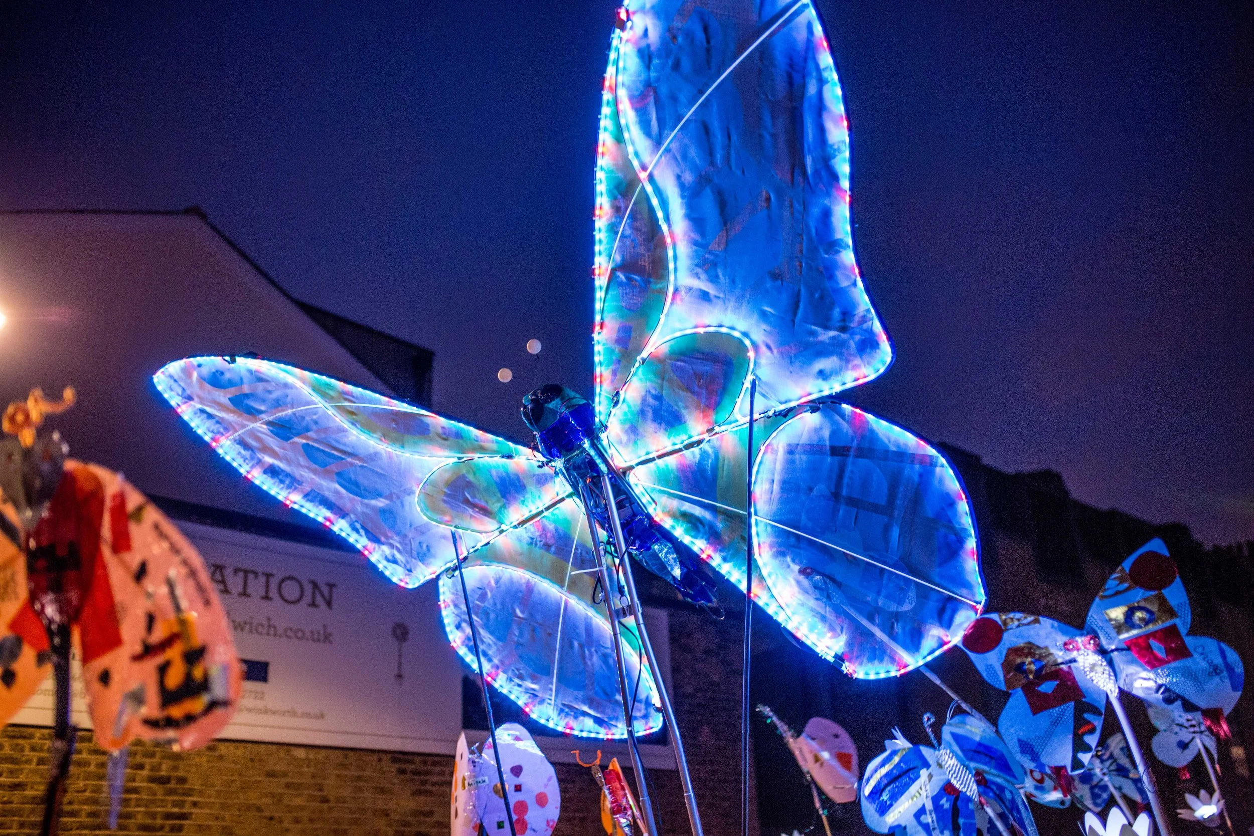 Illuminated butterfly with colour changing, moving LEDsl.jpg