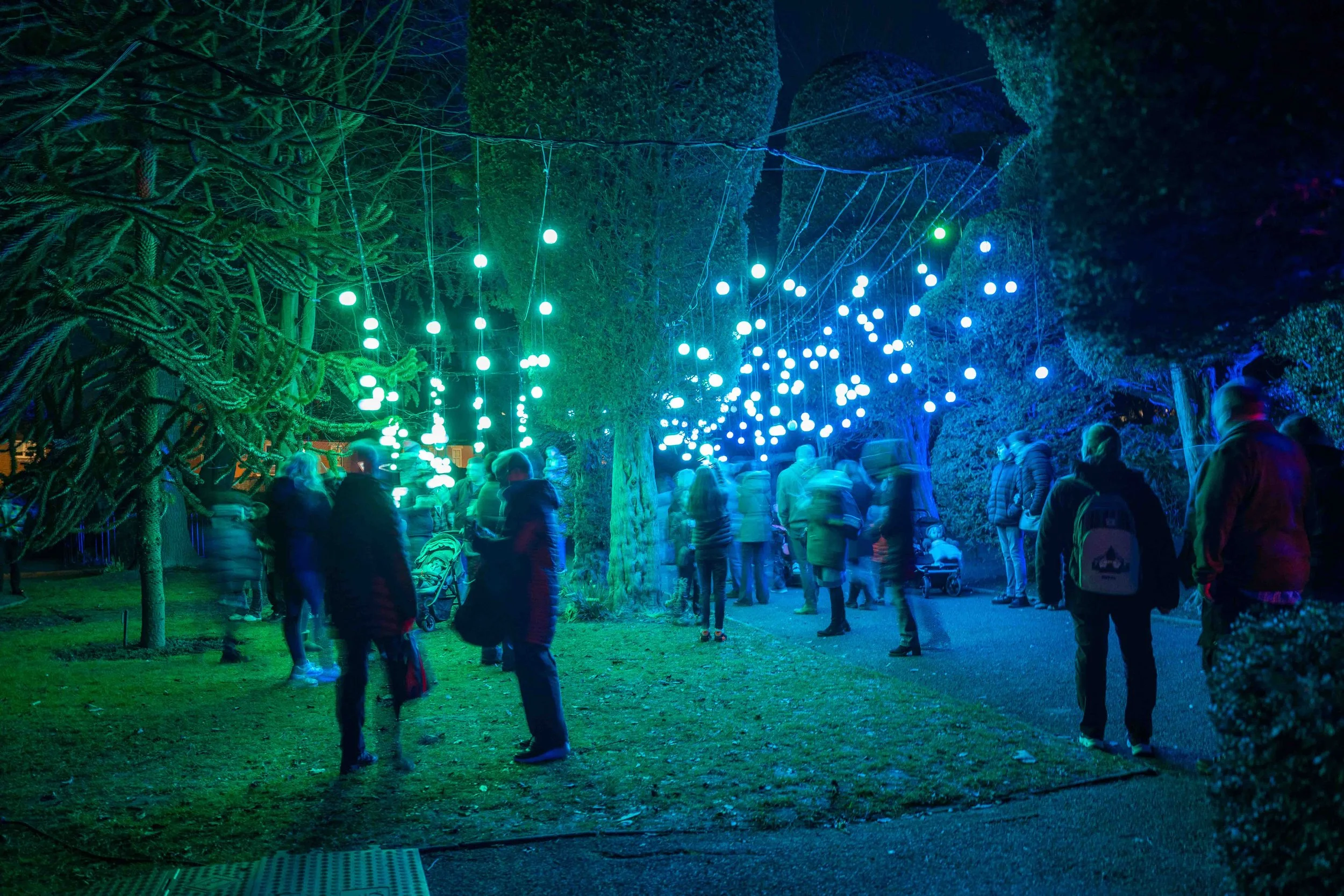 ShiftingPerspectives_StoryTellers_LowRes-75.jpg