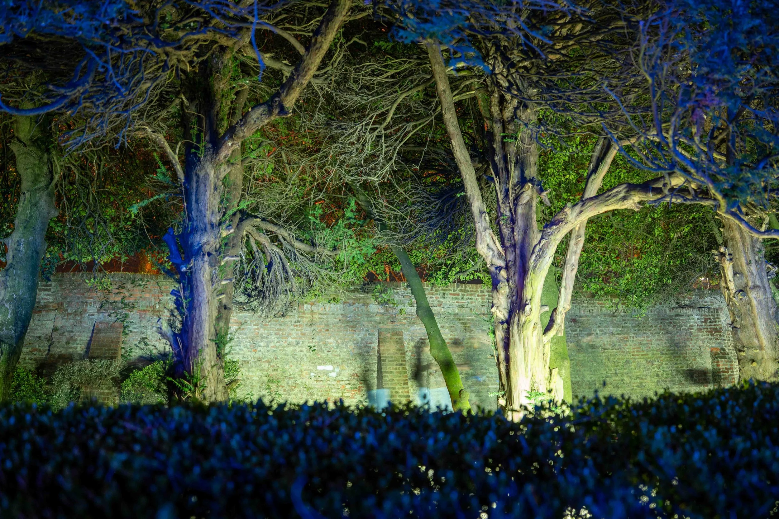ShiftingPerspectives_StoryTellers_LowRes-130.jpg