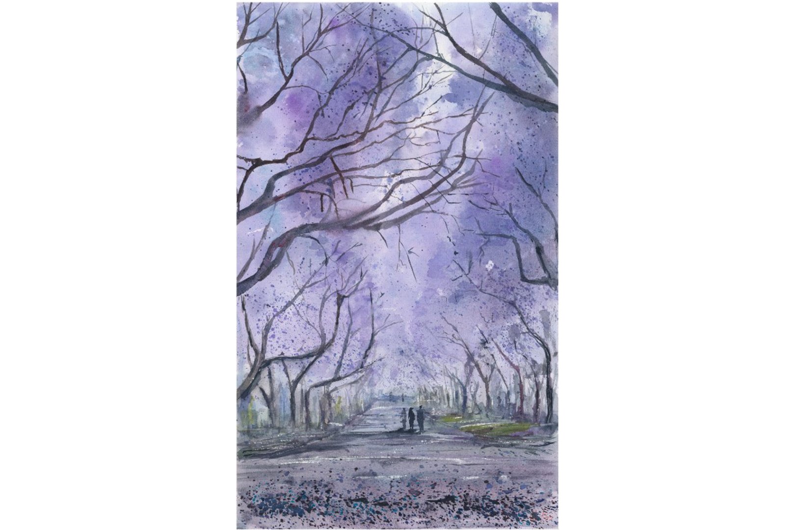 Jacaranda Streets