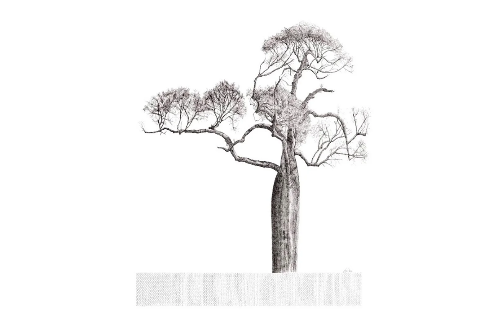 Bottle Tree _3_2.jpg