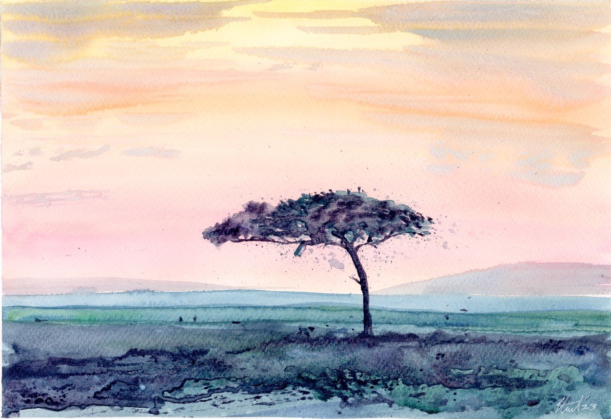 Savanna