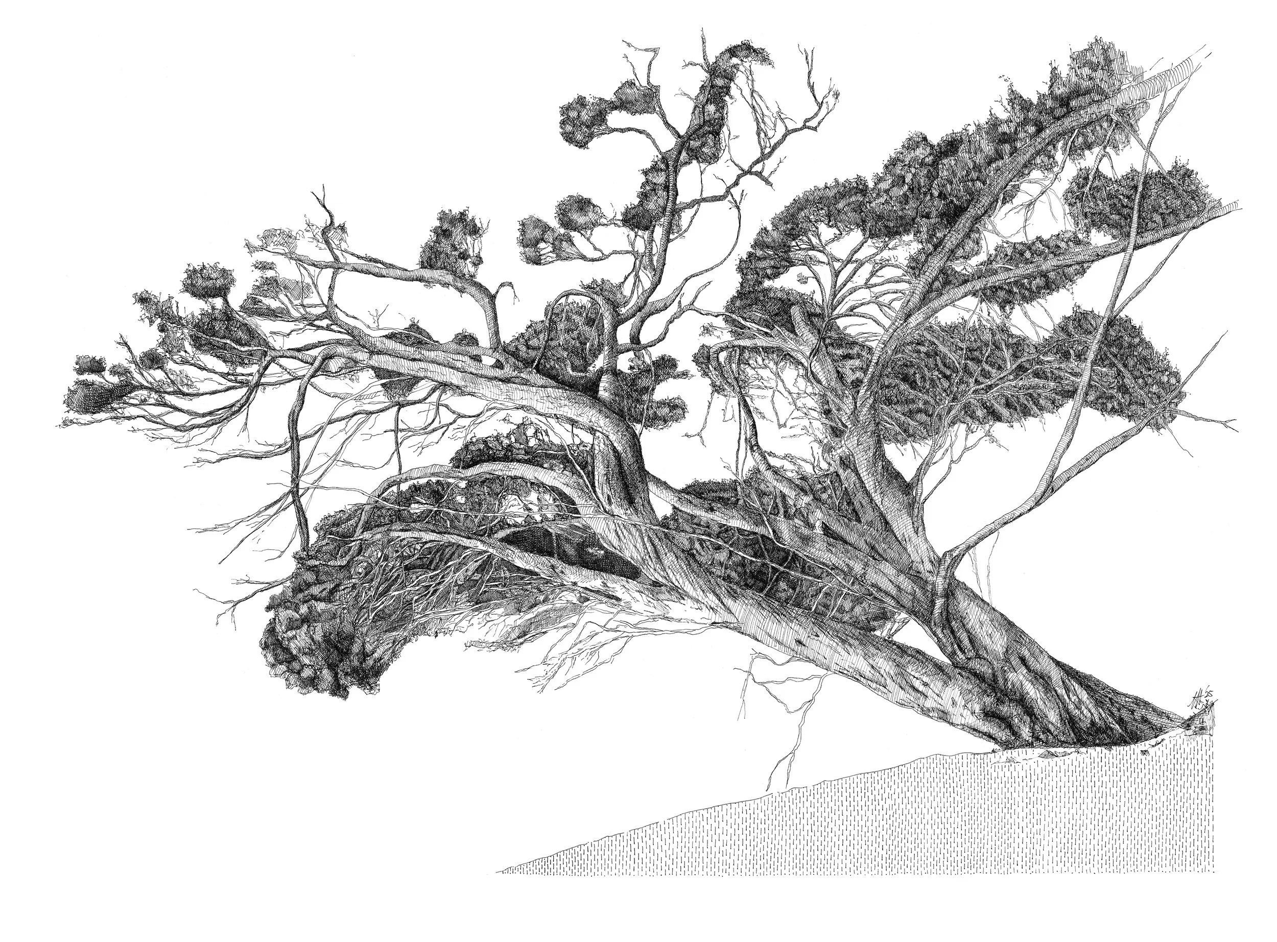 Paperbark - Stay.jpeg