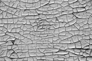 Alligatoring  Description_ Patterned cracking in….jpg