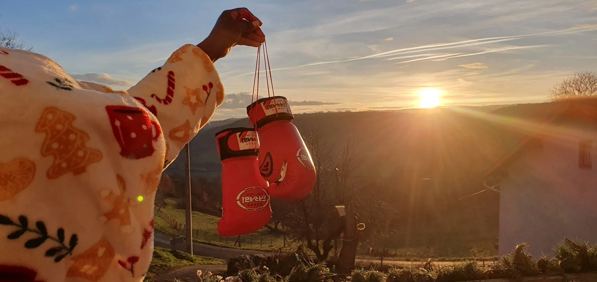A person holding a pair of red boxing gloves hanging from a string against a sunset over a rural landscape.