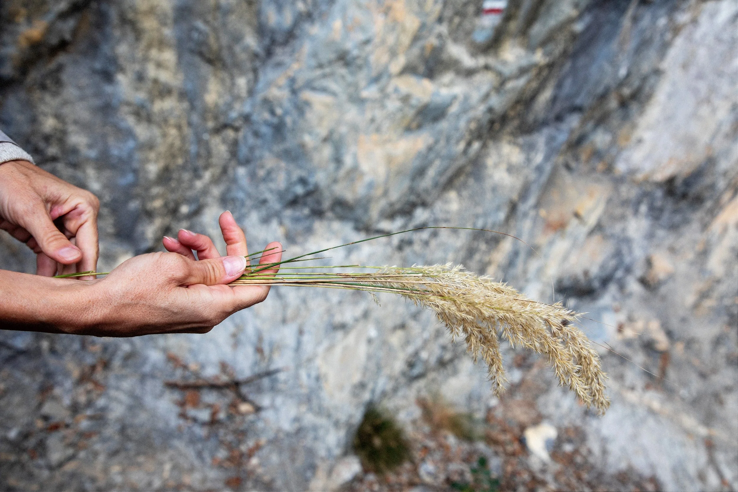 "it's like you're looking at life. It's really beautiful but it's really fragile and then the wind kind of blows and takes some of the little feathers away"