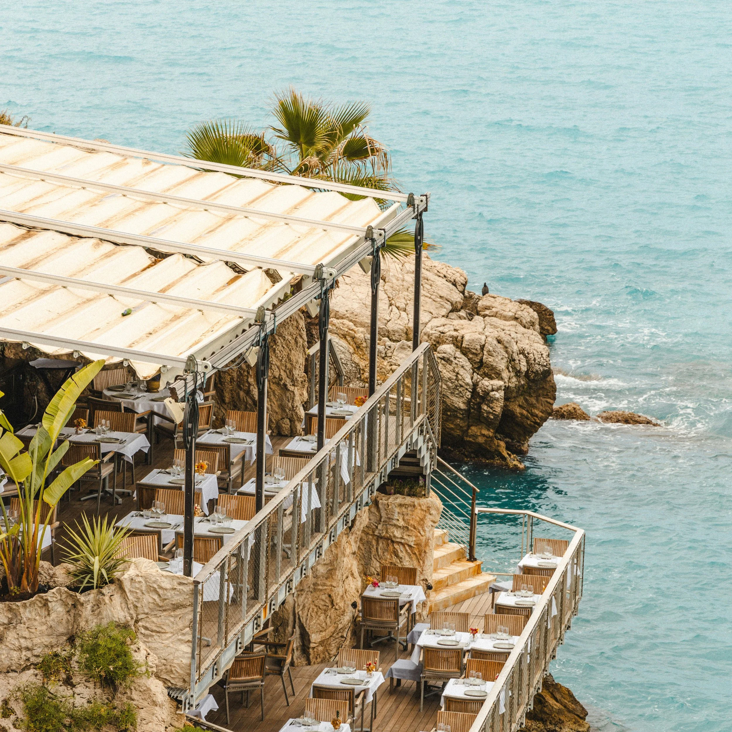 pexels-sanne-van-houts-1102643-30645939 copie.jpg