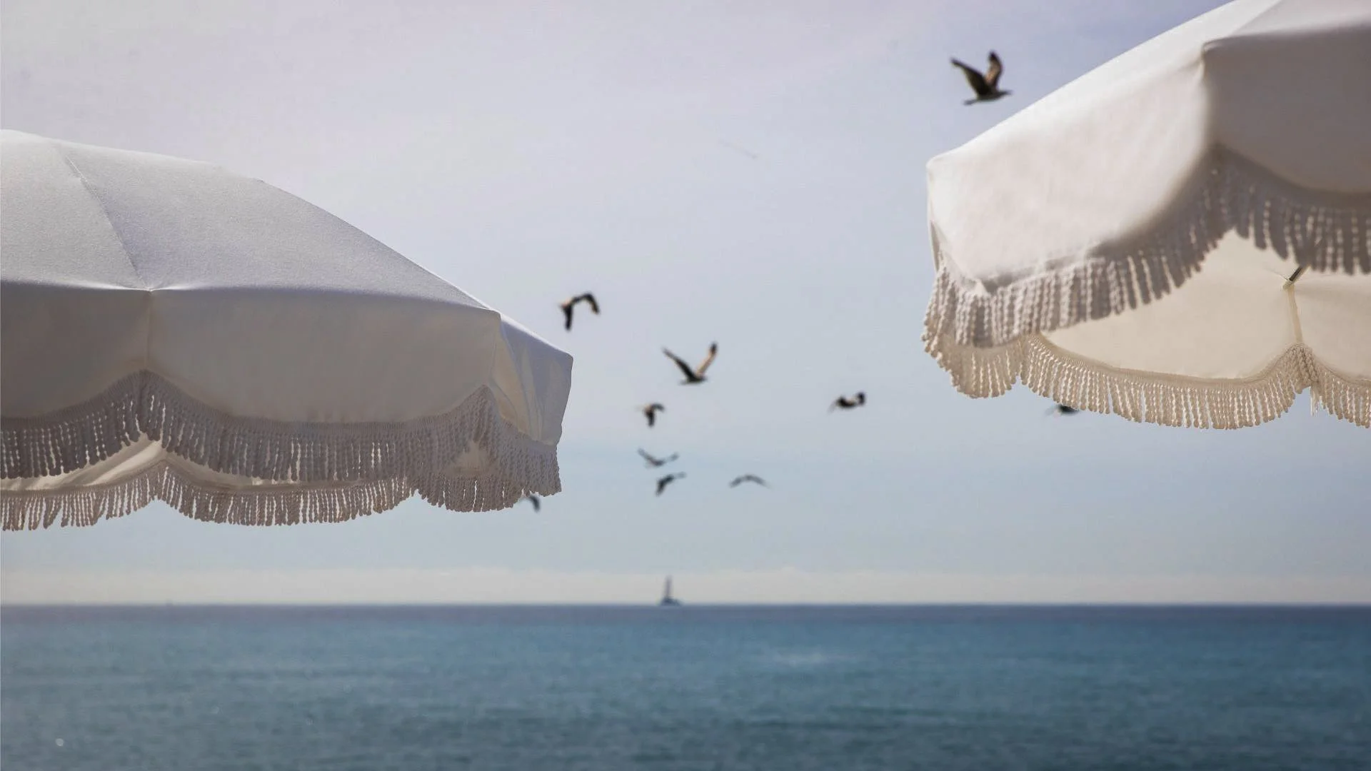  NICE CÔTE D'AZUR  
  Art Direction, Social Media Assets 