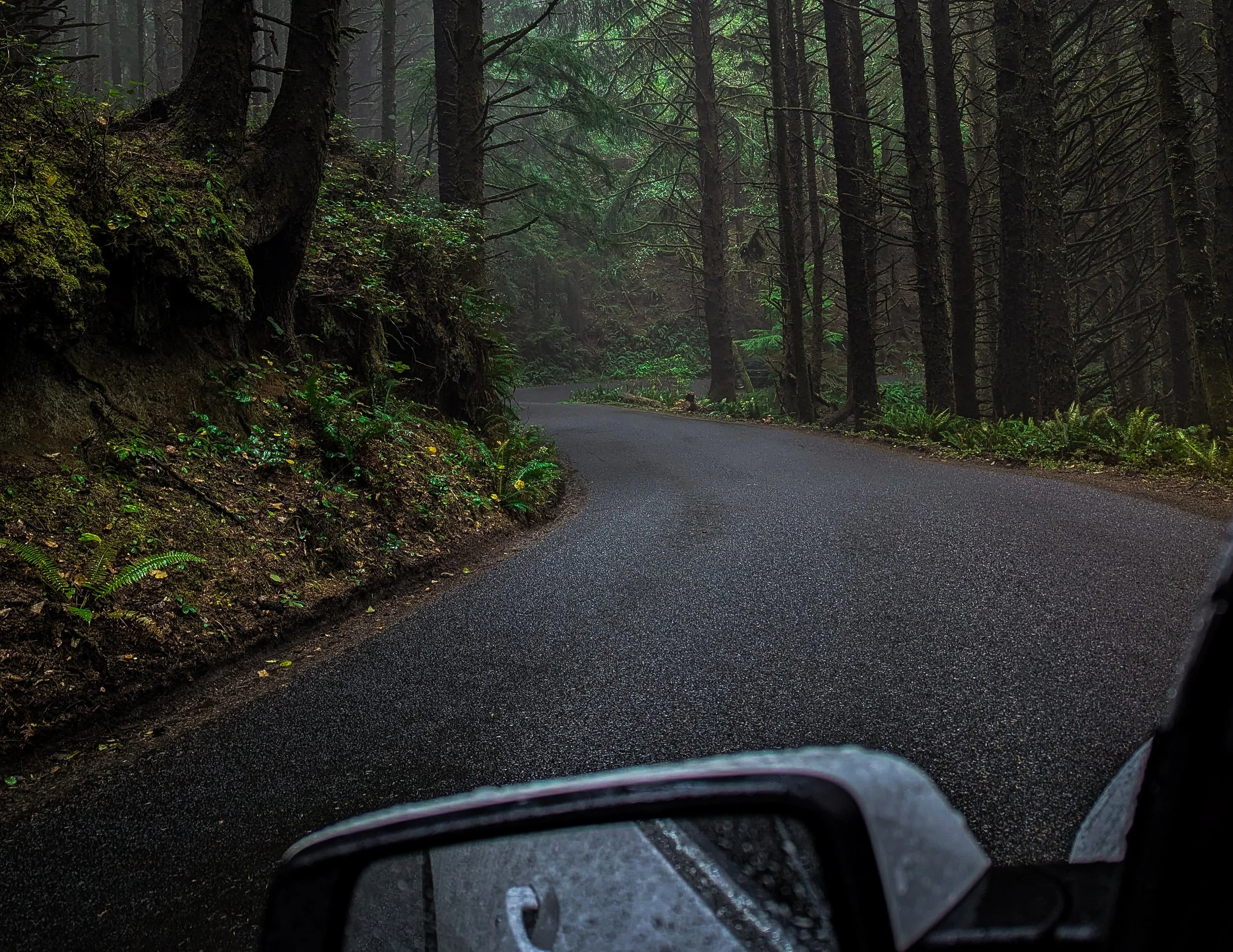 PACIFIC NORTHWEST  
 Video
