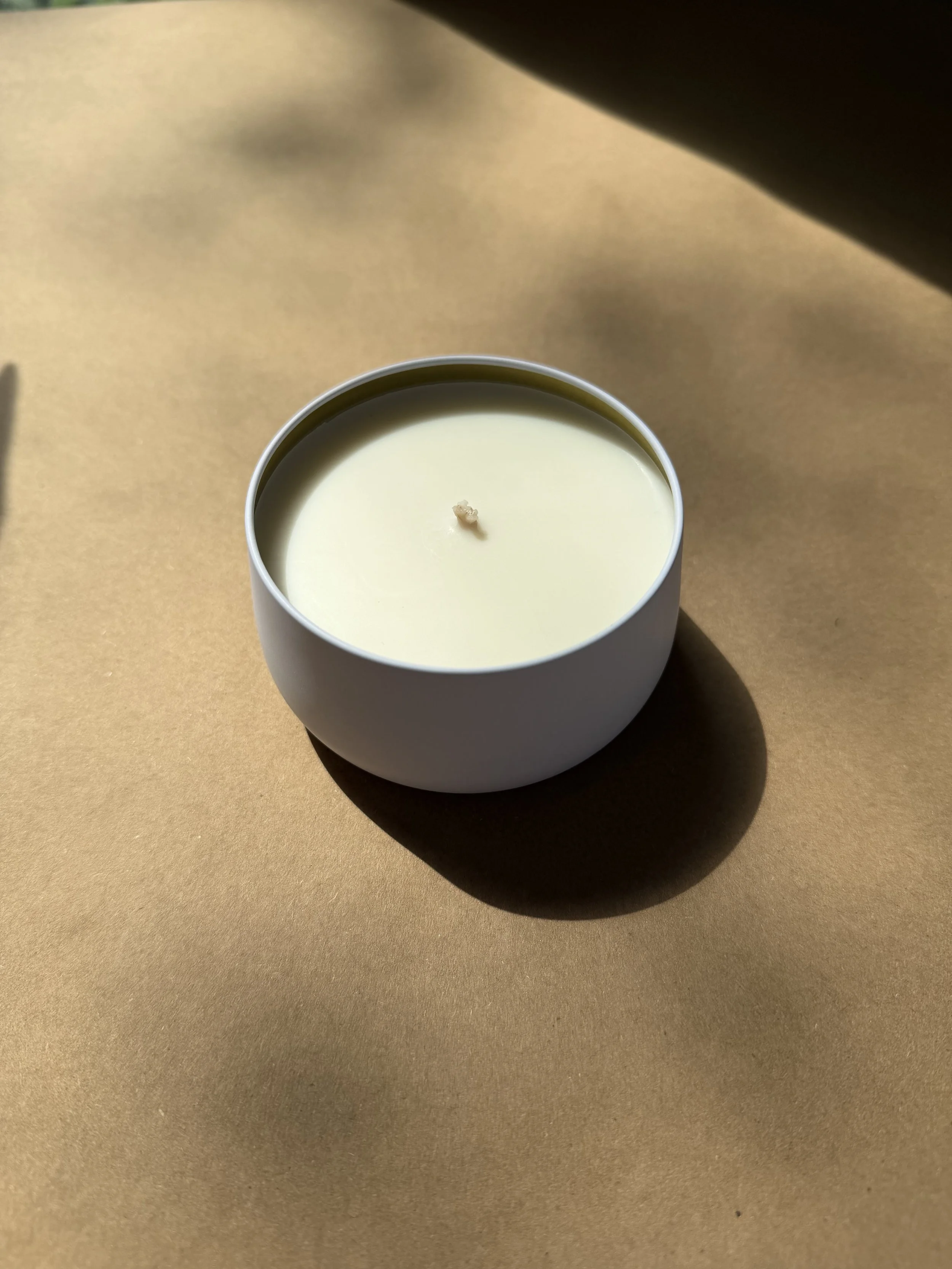 Evie Lo  Favorites Collection 7 oz Candles