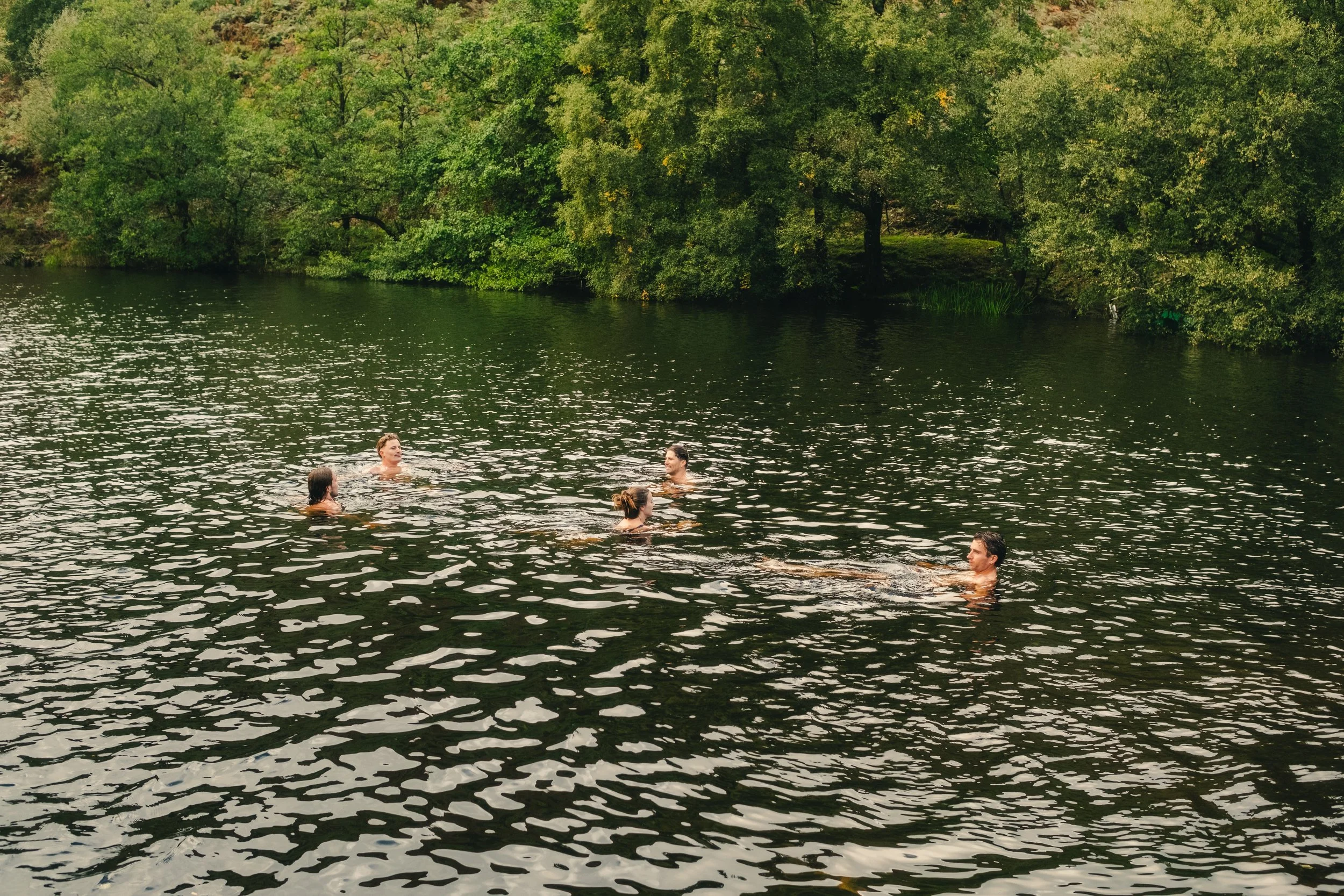Five people swimming in a lake with green trees in the background.