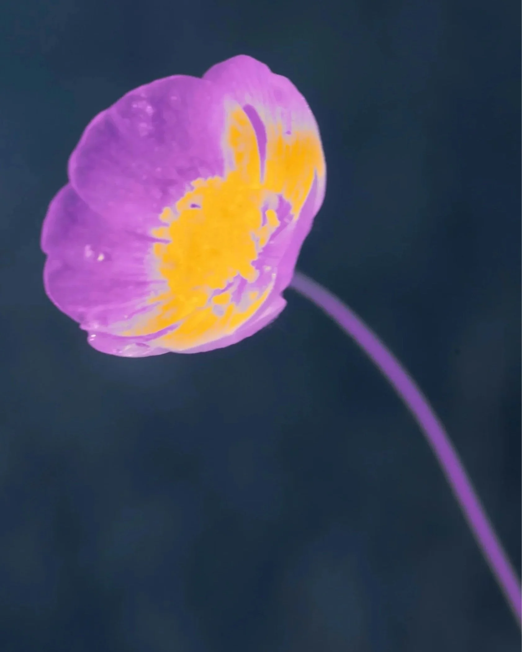 6 signs you're ready to work with a business coach