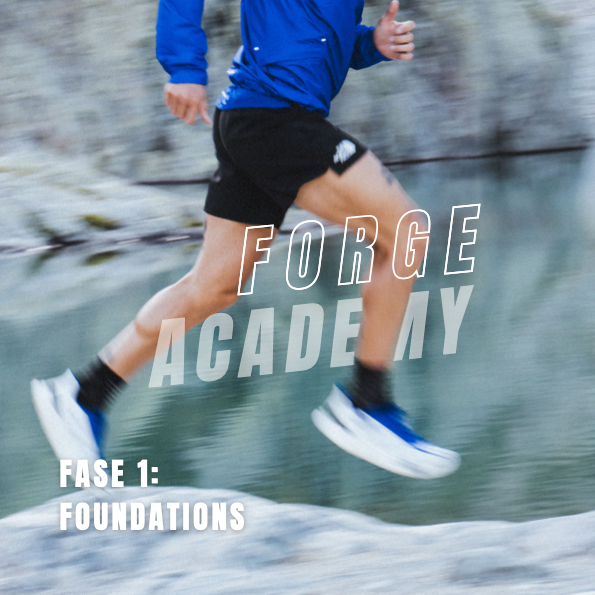 FORGE ACADEMY - FOUNDATIONS