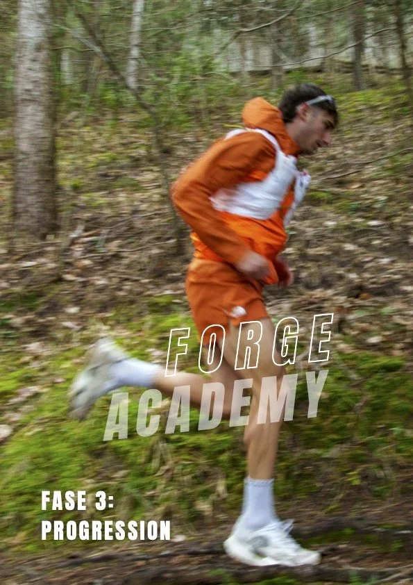 Copertina - Fase 3 - PROGRESSION.jpg