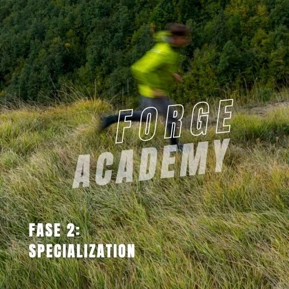 FORGE ACADEMY - SPECIALIZATION