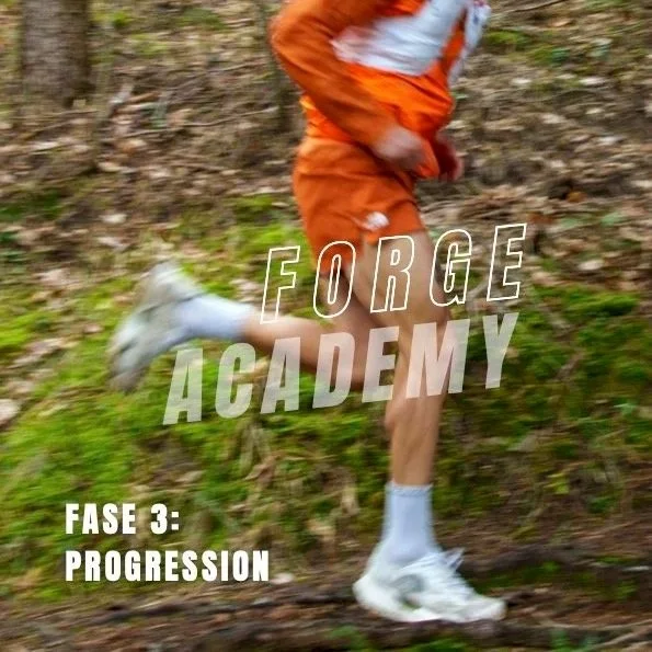 FORGE ACADEMY - PROGRESSION