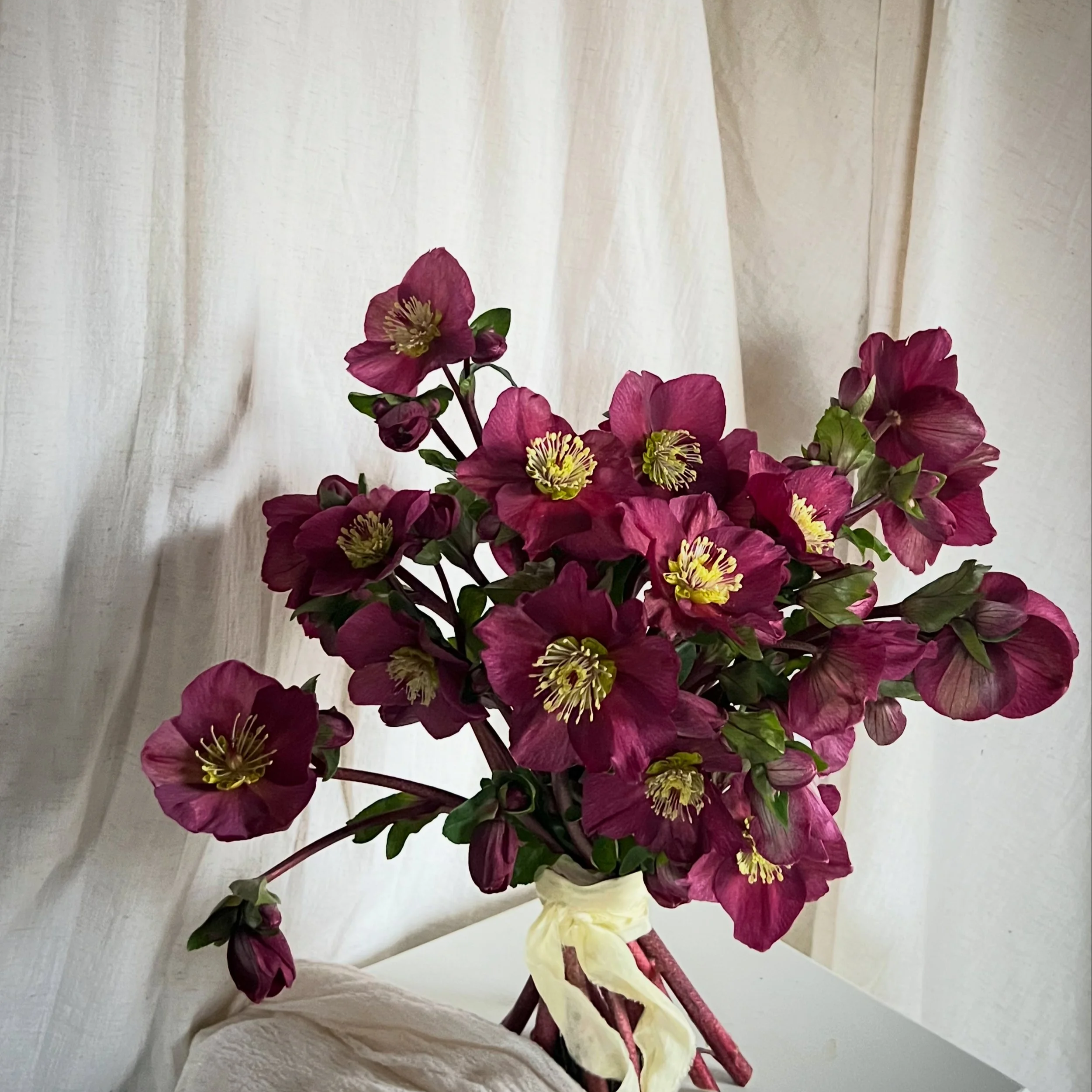 Hellebore Bridal Bouquet