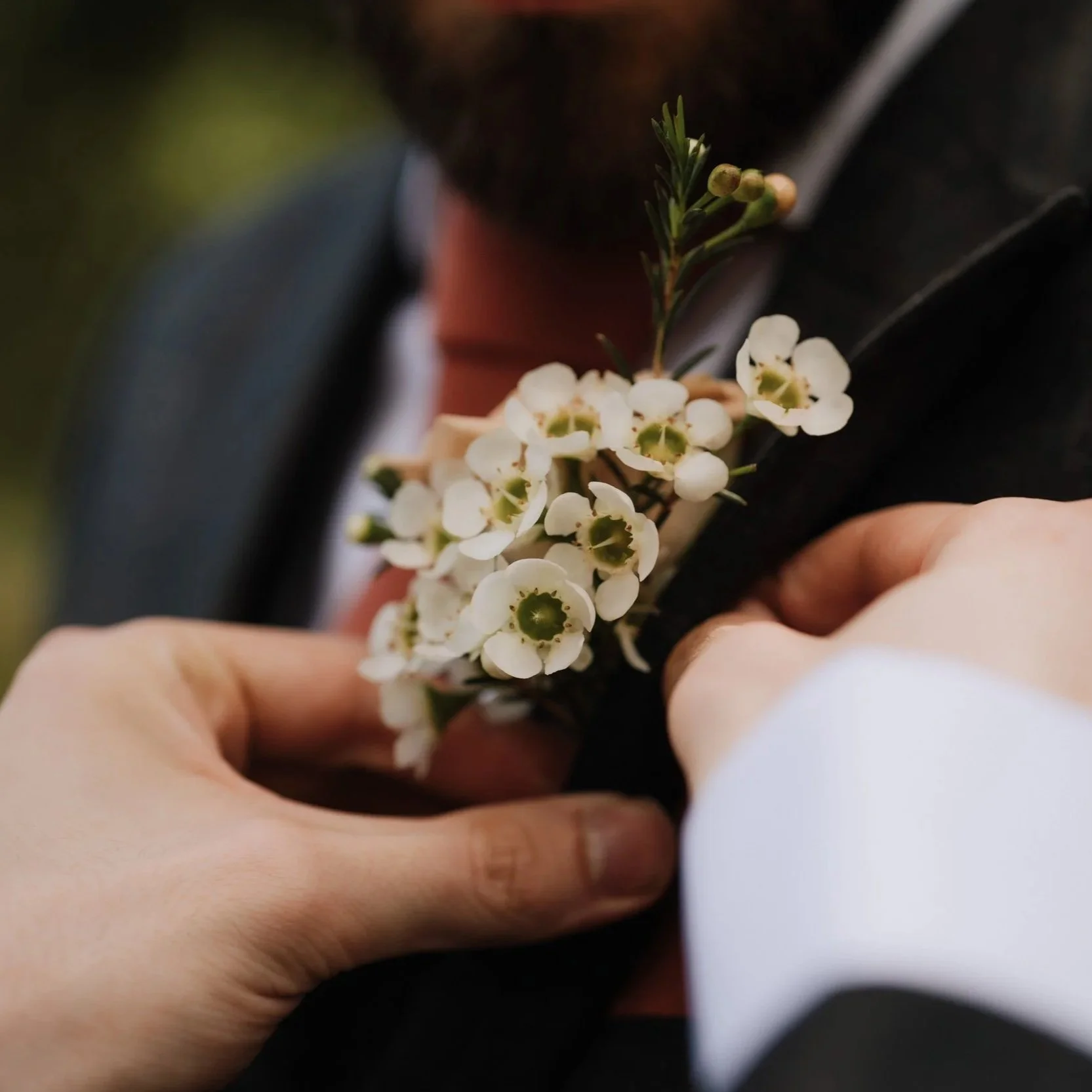 wax flower buttonhole being pinned on a groom