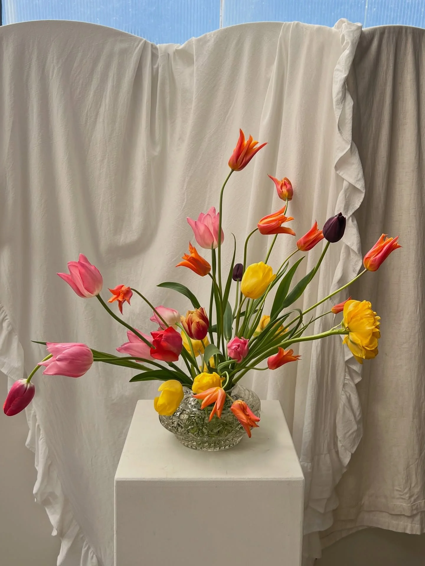 Sun soaked tulips, cut from the garden 🧡🌷

Gardening and growing cut flowers was a dream for so long, I&rsquo;m starting small, learning lots, and finding SO much joy and creativity in the process 🌞