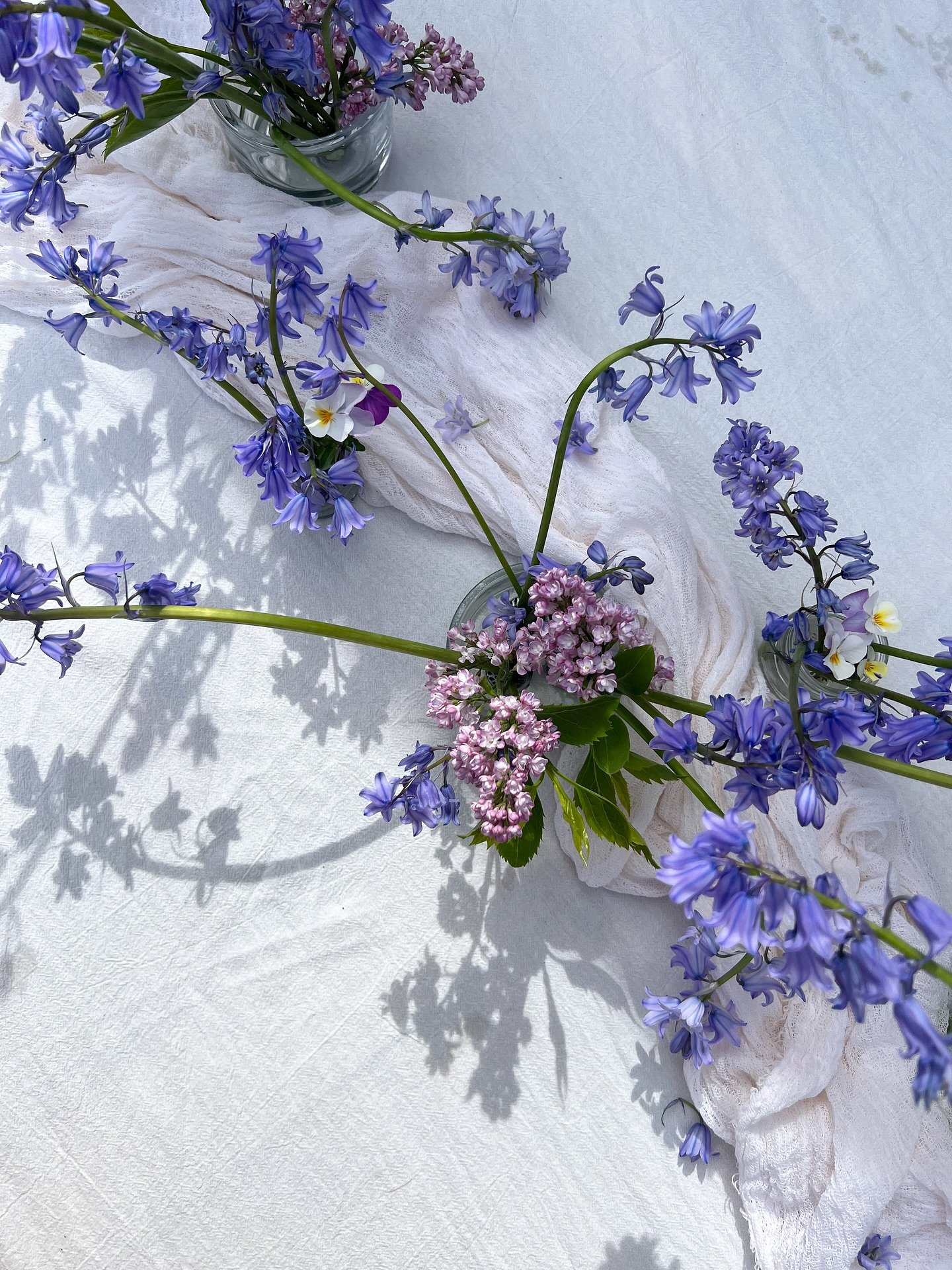Bluebells &amp; bits snipped in the garden 🫐🌱