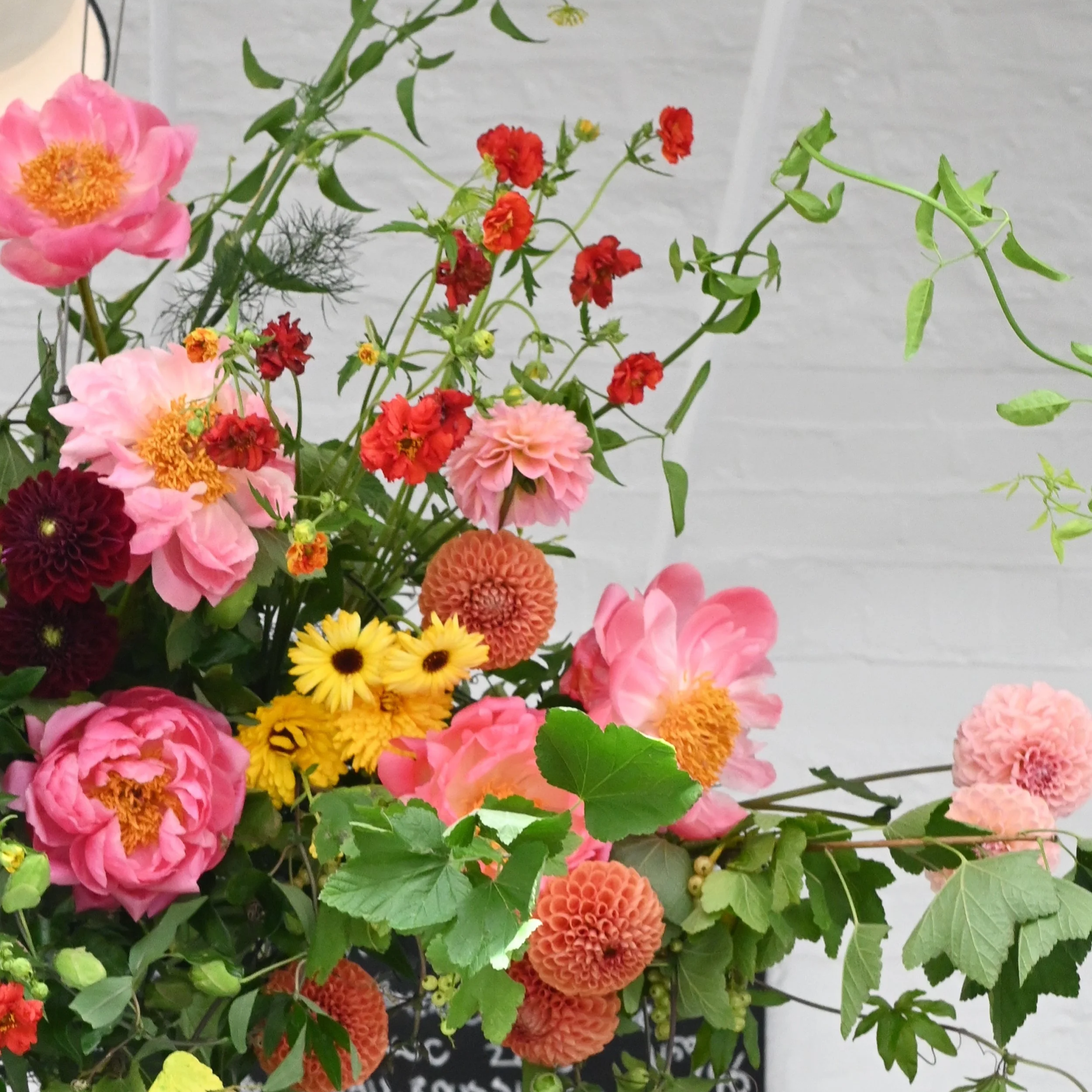 seasonal June flower cloud, close up shot of peonies, geums, dahlias, marigolds, passionflower and jasmine