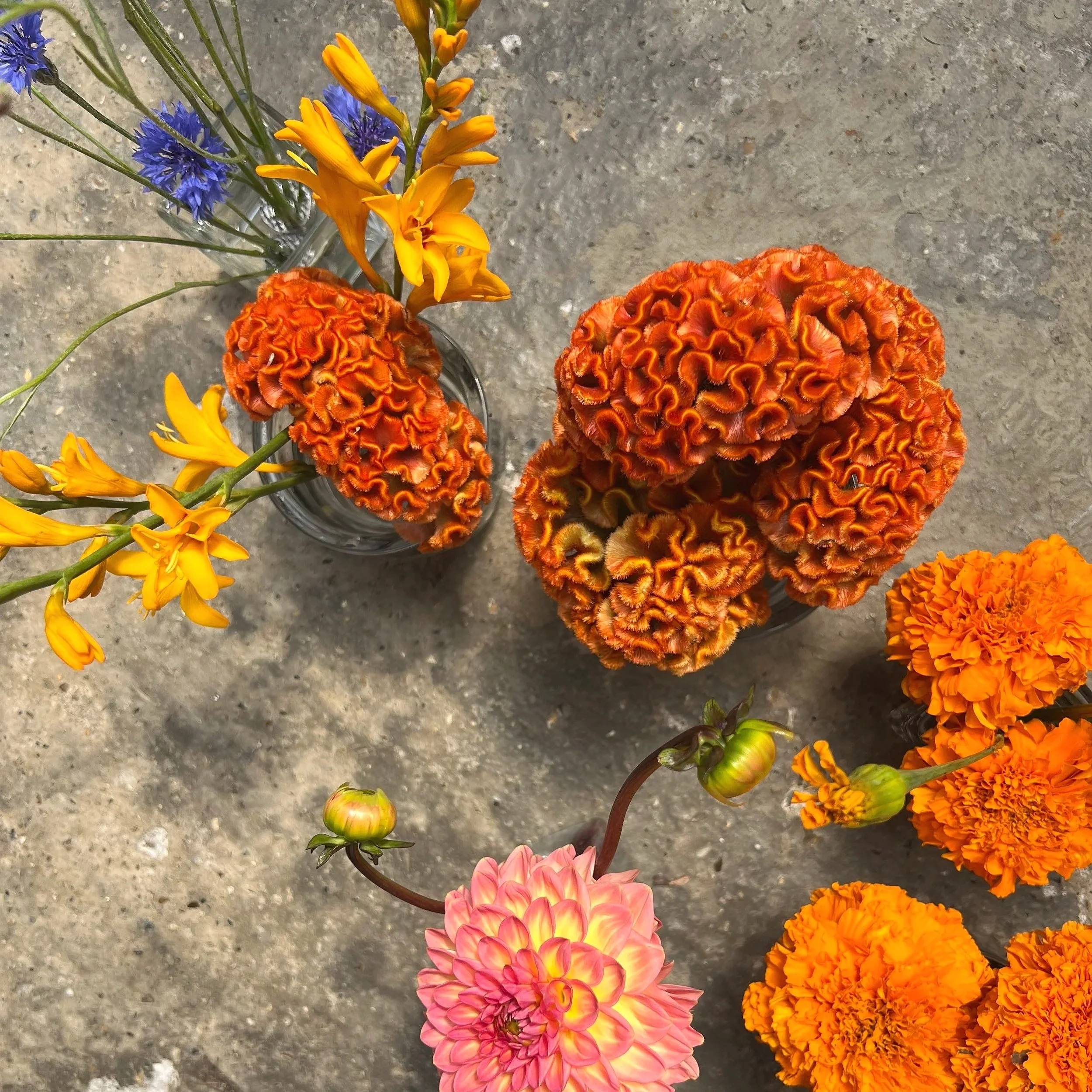 Bright orange and blue table flower arrangements for a summer wedding