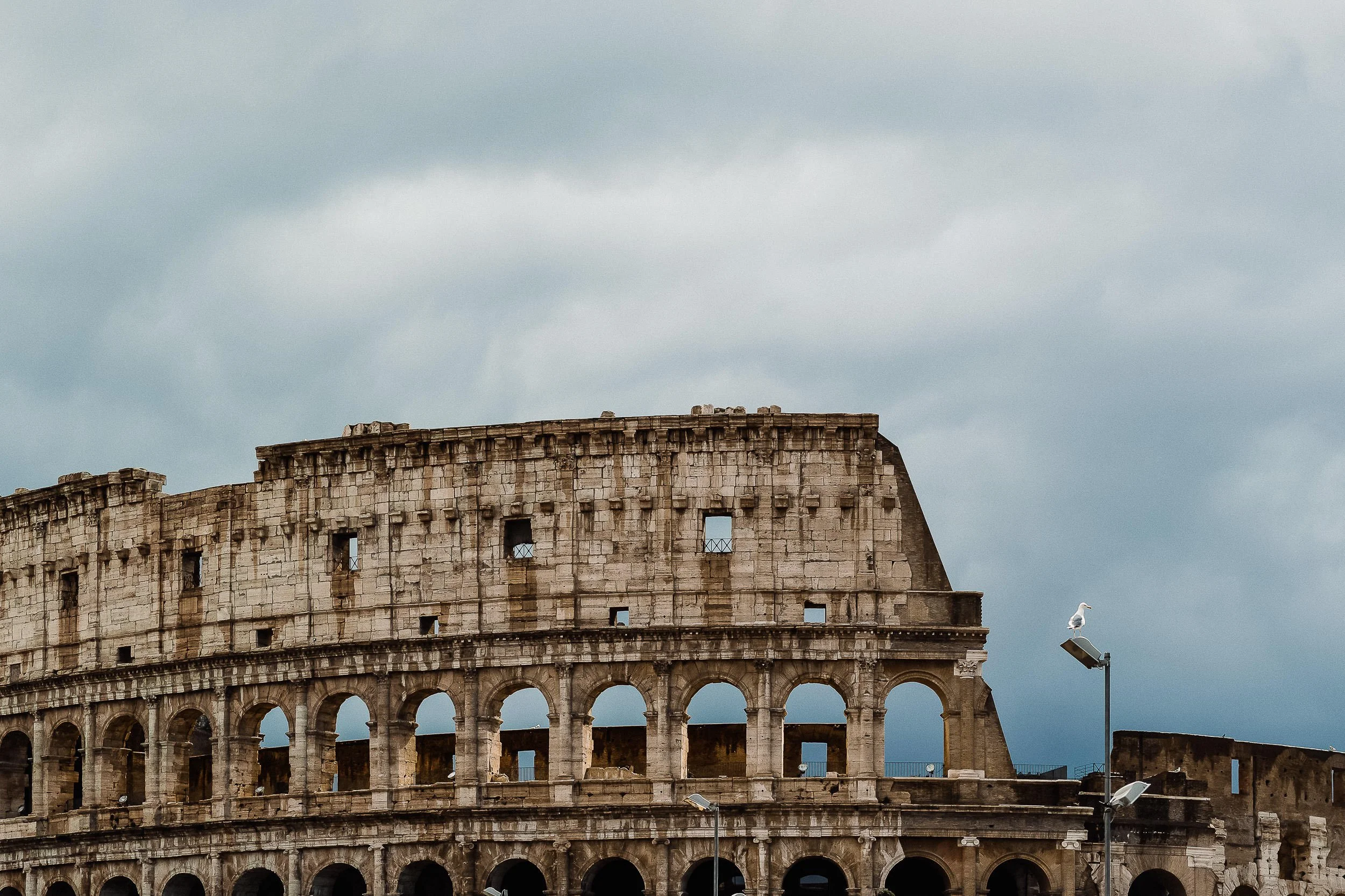 Rome en levant la tête