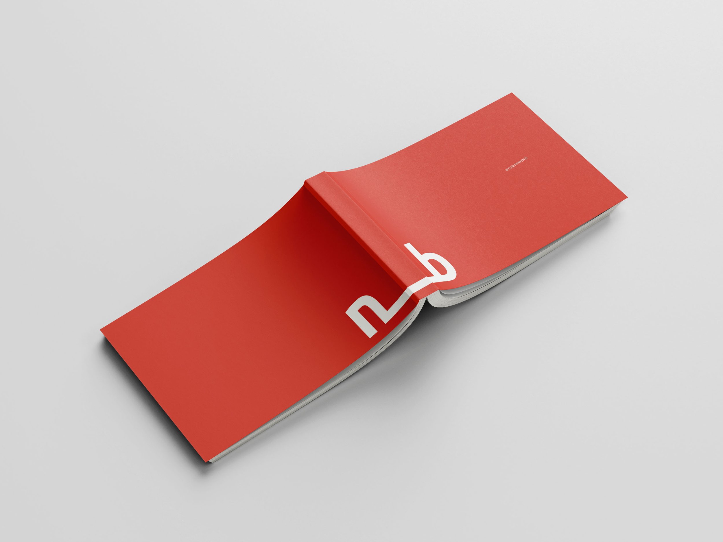 Brand book 3.jpg